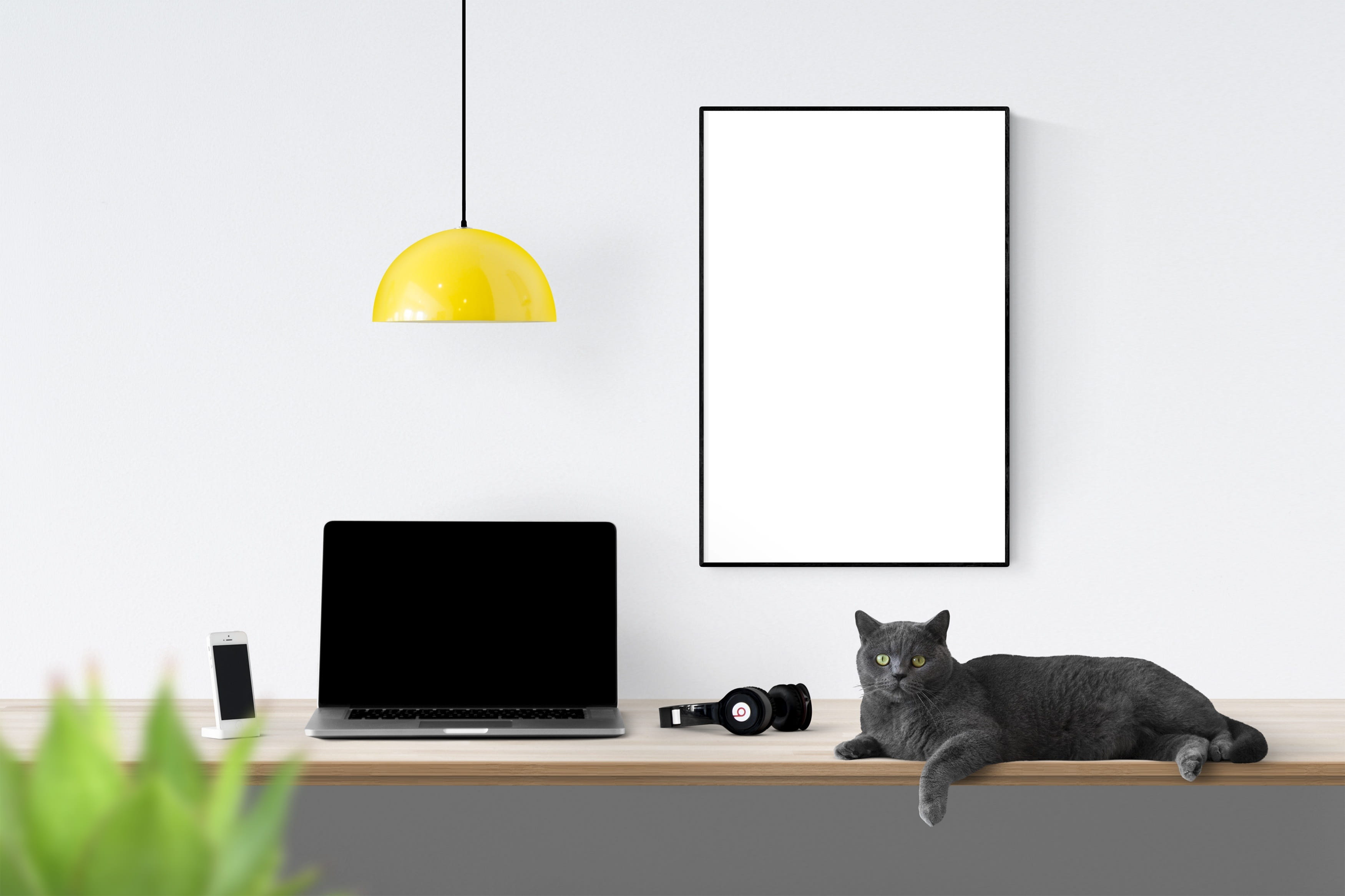 indoors, business, desk, computer, frame, studio shot, wireless technology, plant, copy space, computer monitor, furniture, communication, no people, electric lamp, HD Wallpaper