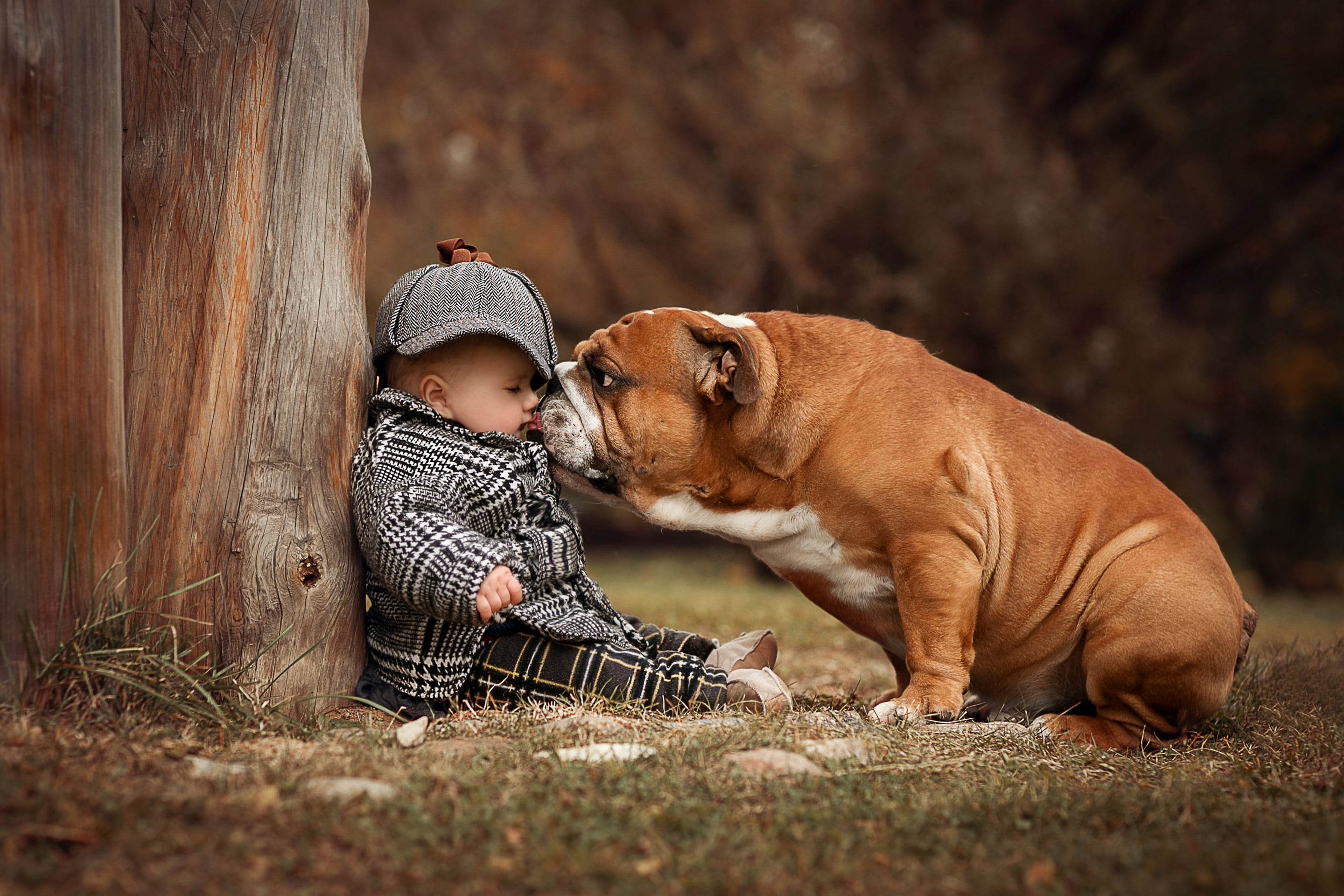 love, people, males, domestic, dog, positive emotion, one animal, innocence, young, canine, English bulldog, pets, domestic animals, 2K, boy, small, baby, HD Wallpaper