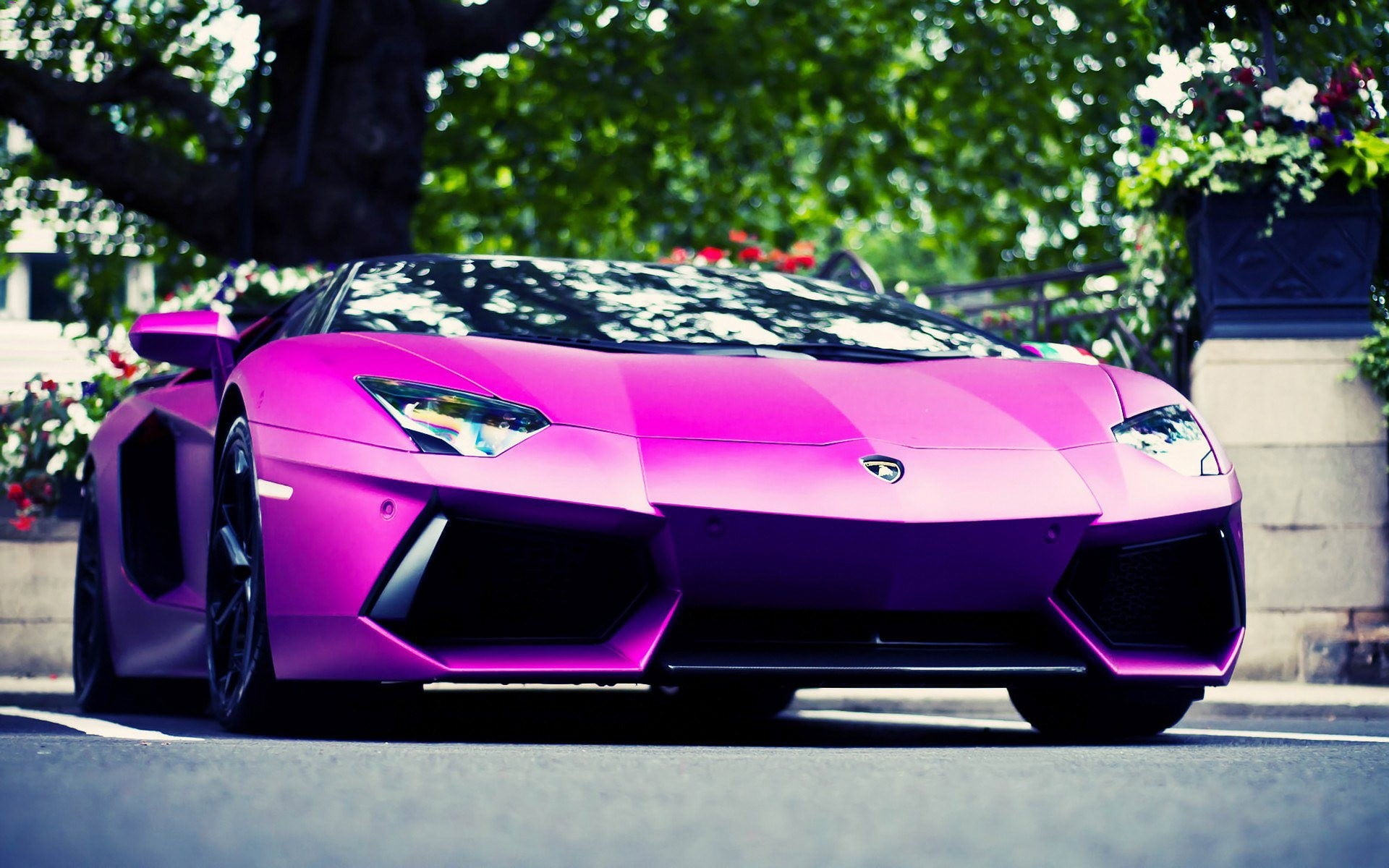 Lamborghini, land vehicle, focus on foreground, transportation, car, consumerism, selective focus, plant, no people, mode of transportation, close-up, toy, HD Wallpaper