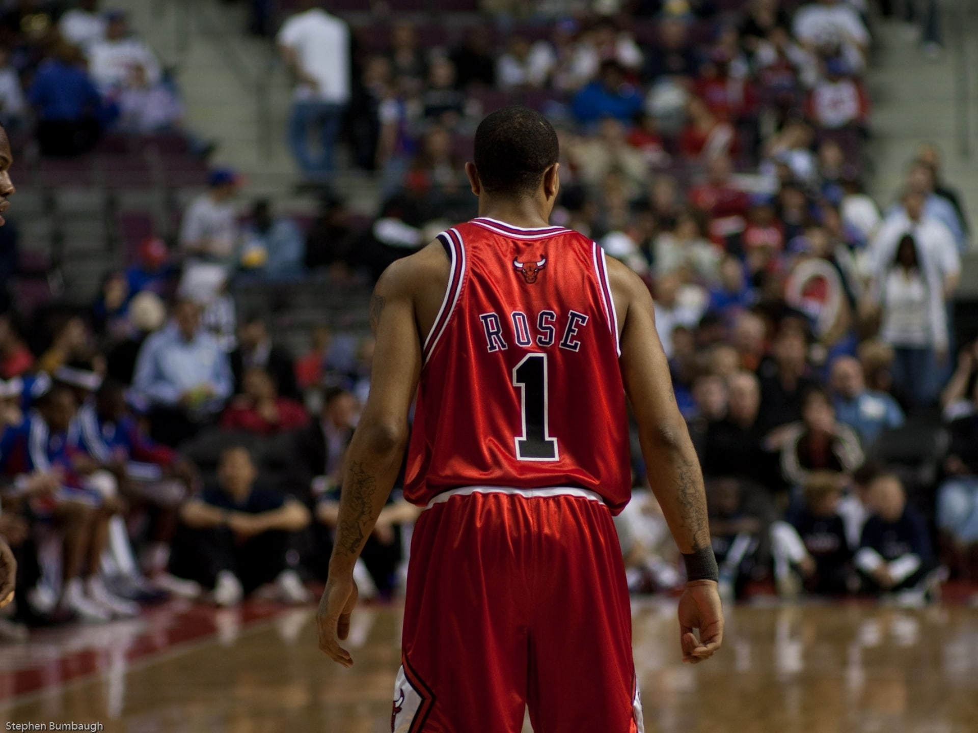 basketball, 1080P, derrick, chicago, sports, rose, bulls, backview, field, depth, nba, HD Wallpaper
