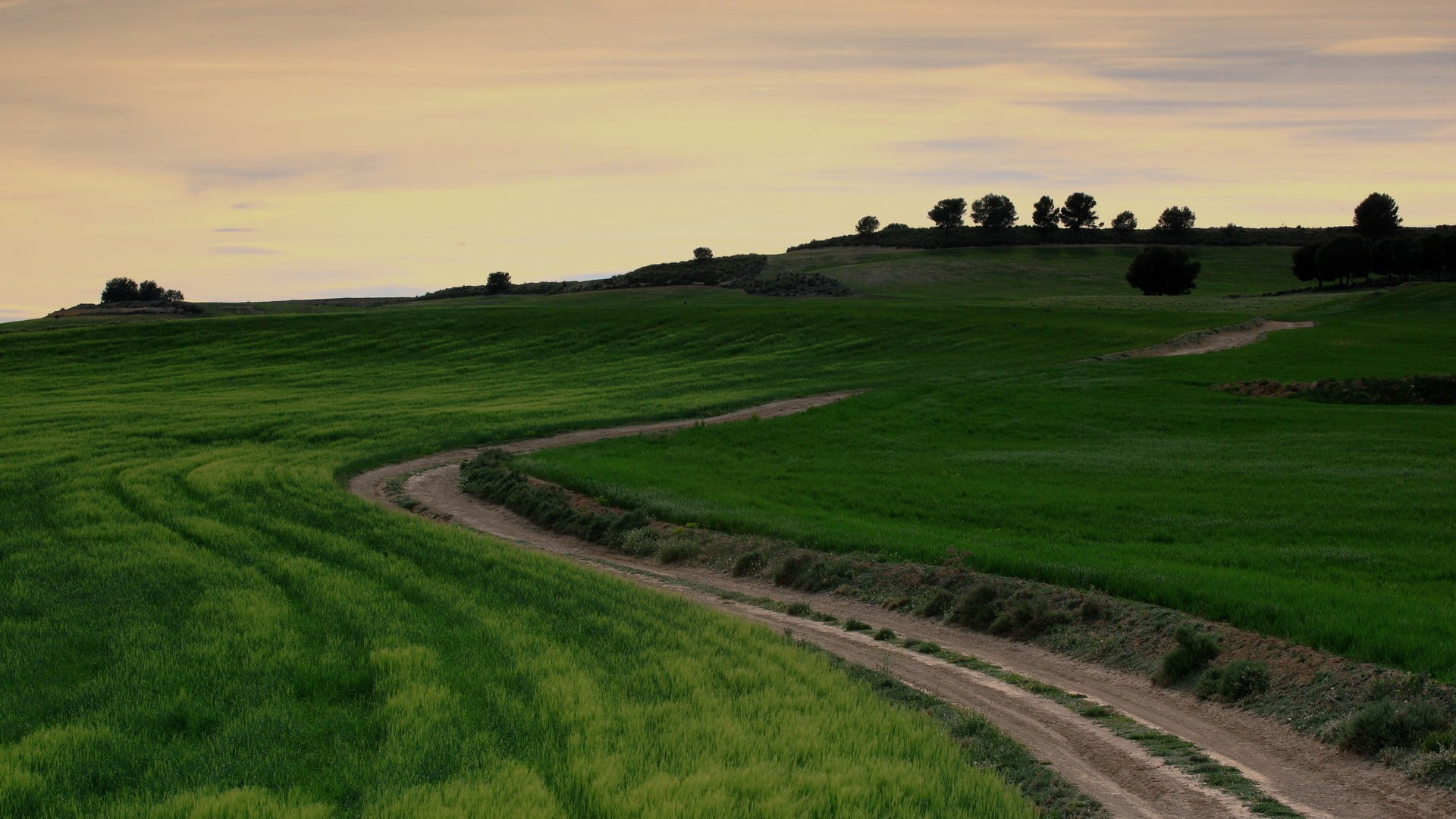 dirtroad, plant, sunset, evening, idyllic, beauty in nature, green color, trees, tranquility, hills, environment, white, land, non-urban scene, grass, cloud - sky, HD Wallpaper