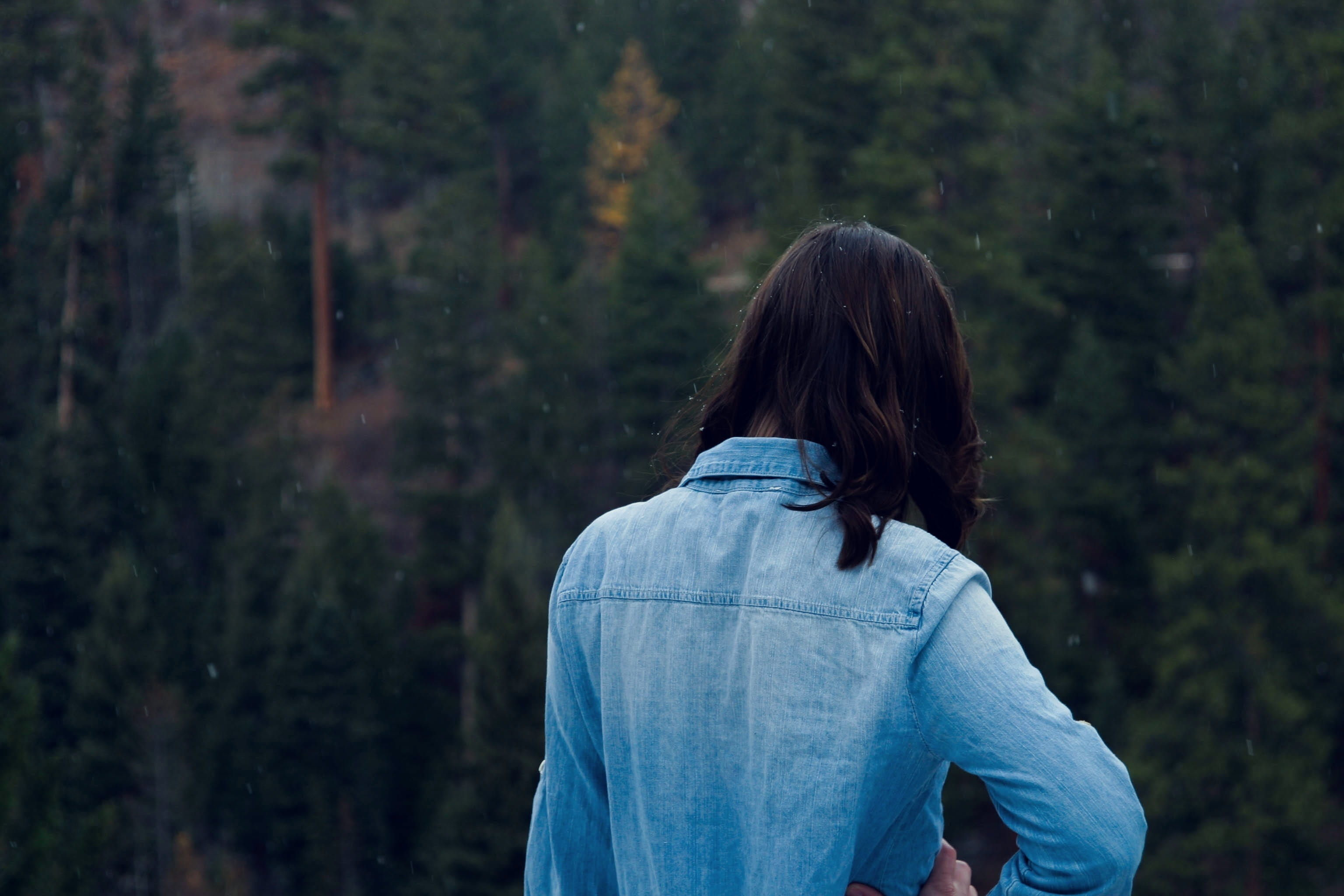 portrait, nature, woodland, real people, land, girl, hairstyle, leisure activity, behind, waist up, shirt, blue, casual clothing, one person, hair, forest, HD Wallpaper