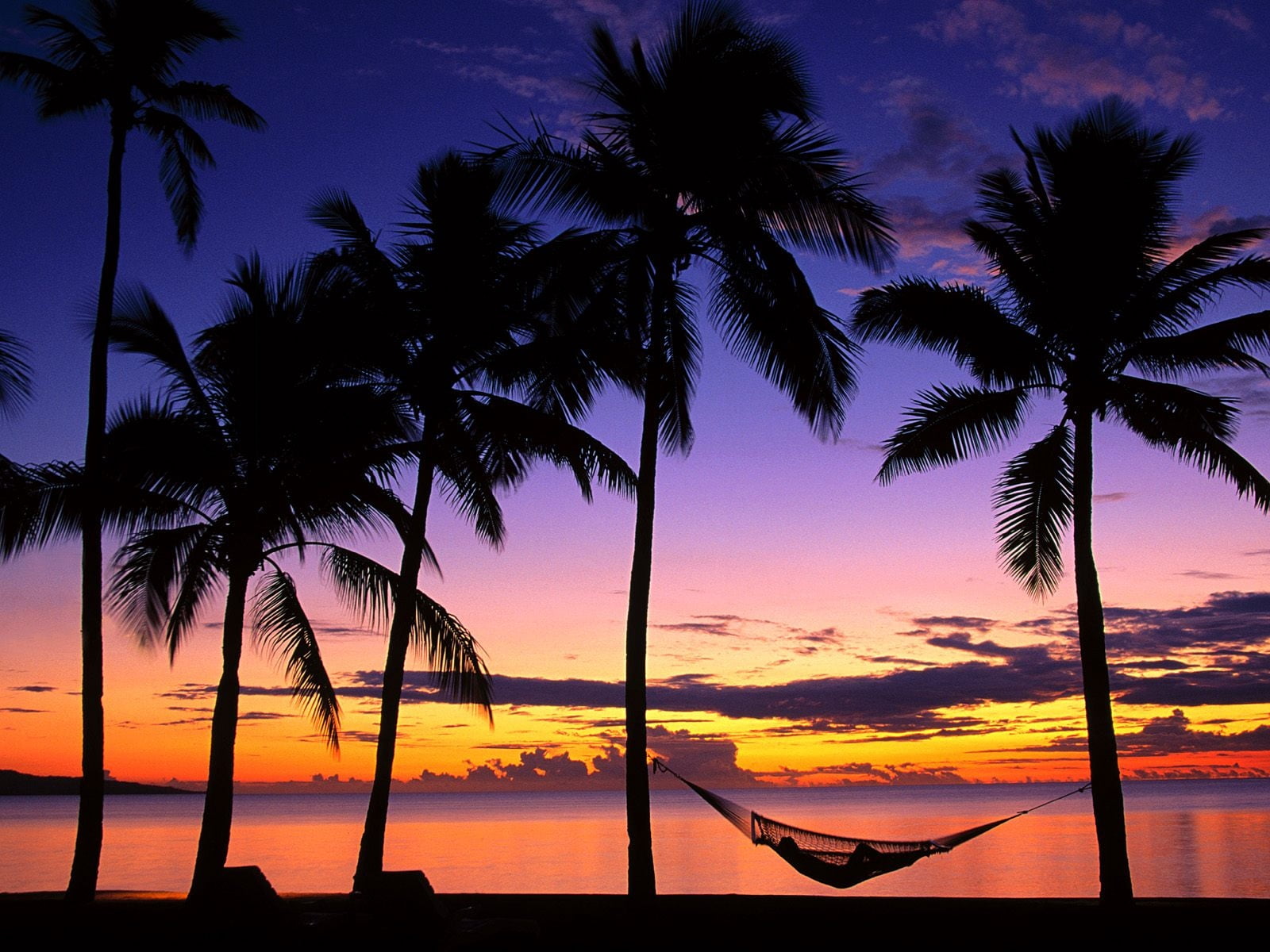 palm trees, trees, coast, thailand, blue, multi Colored, land, tranquility, plant, relaxation, sand, tree, dusk, tranquil Scene, swimming pool, 720P, travel Destinations, HD Wallpaper