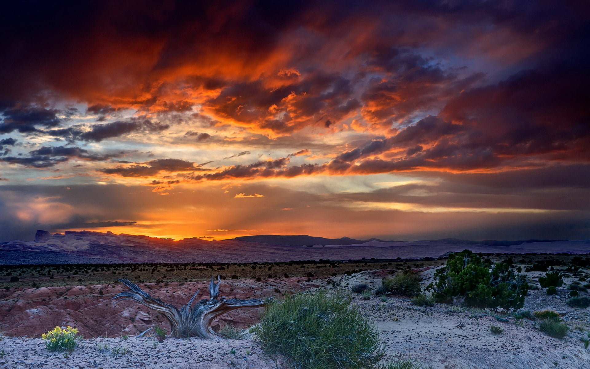 green, horizon Over Land, dramatic Sky, 1080P, outdoors, new Mexico, solid, sunrise - Dawn, scenics, beauty In Nature, sun, evening, cloud - Sky, sunset, HD Wallpaper