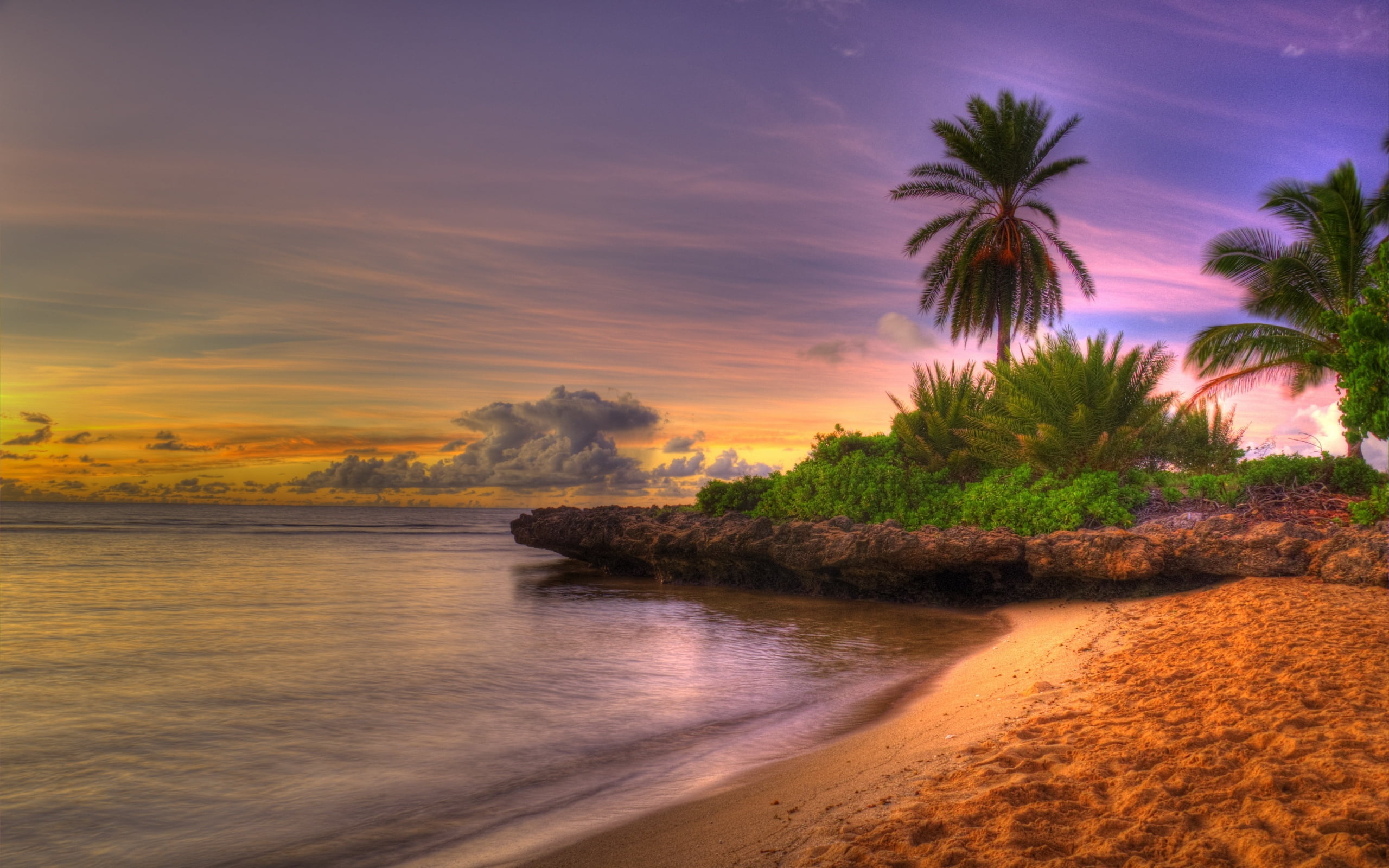 nature, sunrise - Dawn, relaxation, non-urban scene, island, waters Edge, tourism, travel Destinations, outdoors, idyllic, palm trees, sand, no People, HD Wallpaper