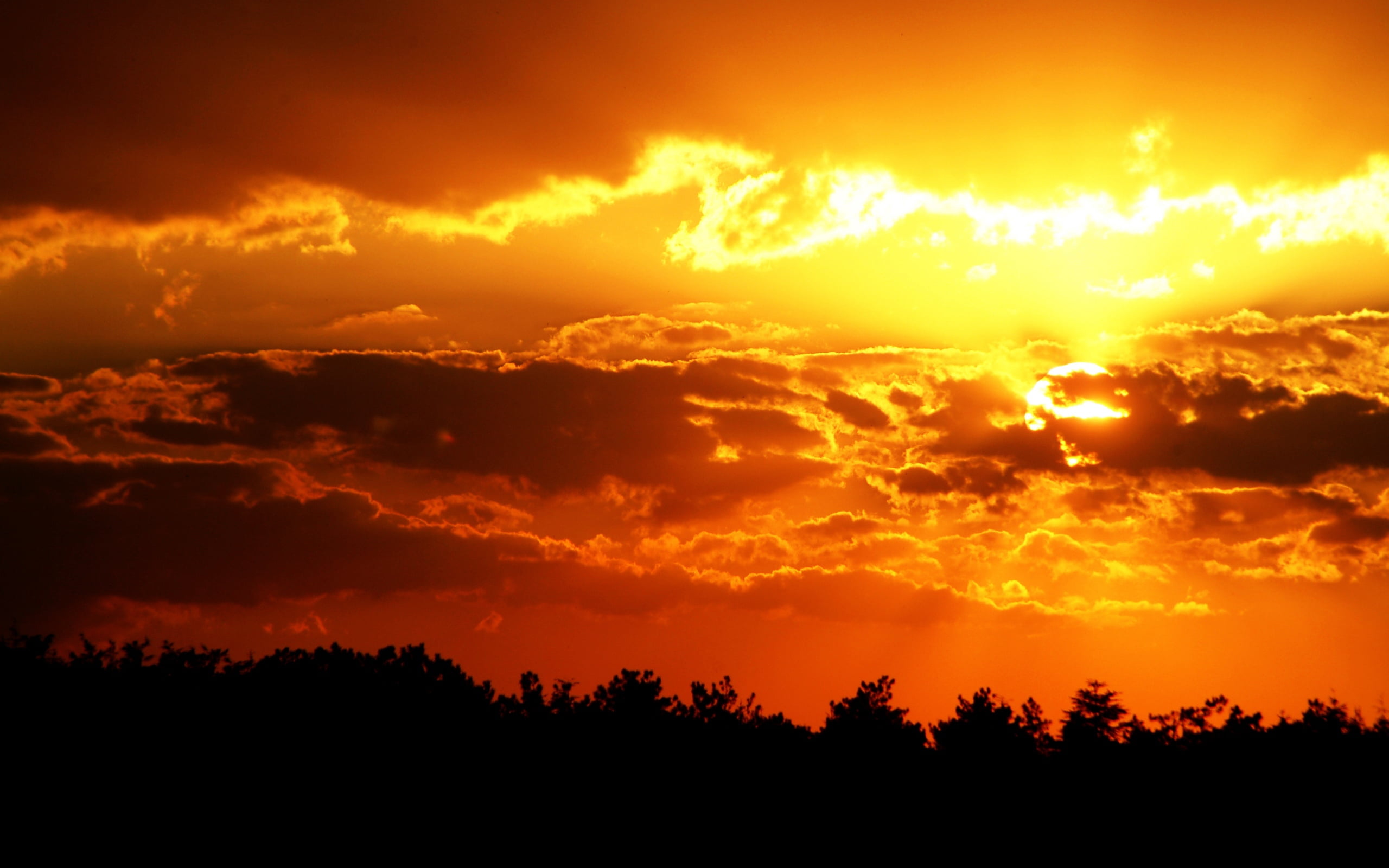 red, cloud - Sky, environment, morning, tops, scenics, tranquil Scene, trees, orange, dark, twilight, backgrounds, awe, dramatic Sky, majestic, outdoors, HD Wallpaper
