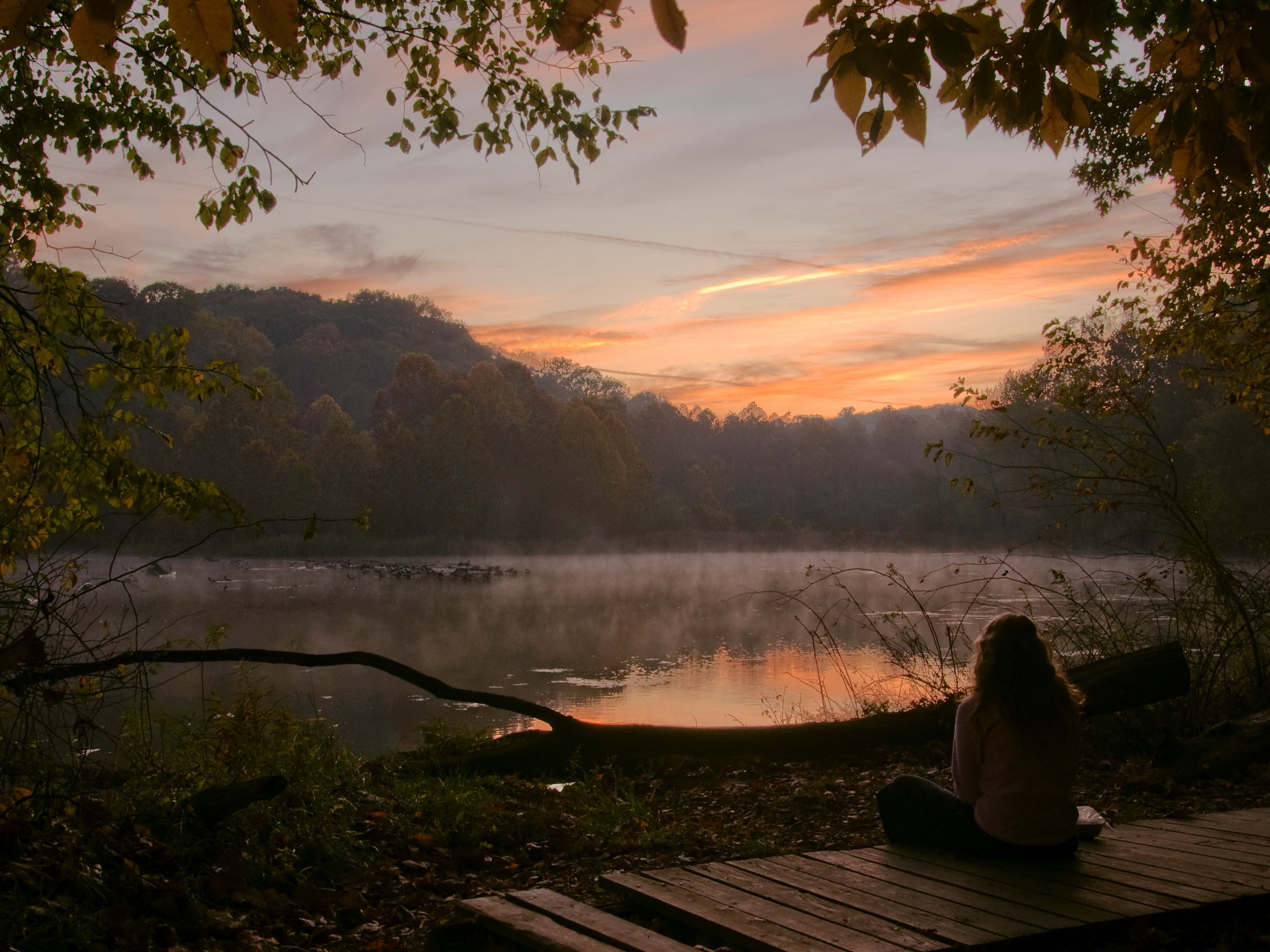 idyllic, sunlight, travel, one person, sleeved, girl, nature, woodland, real people, reflection, season, lake, non-Urban Scene, tranquil Scene, fog, autumn, HD Wallpaper