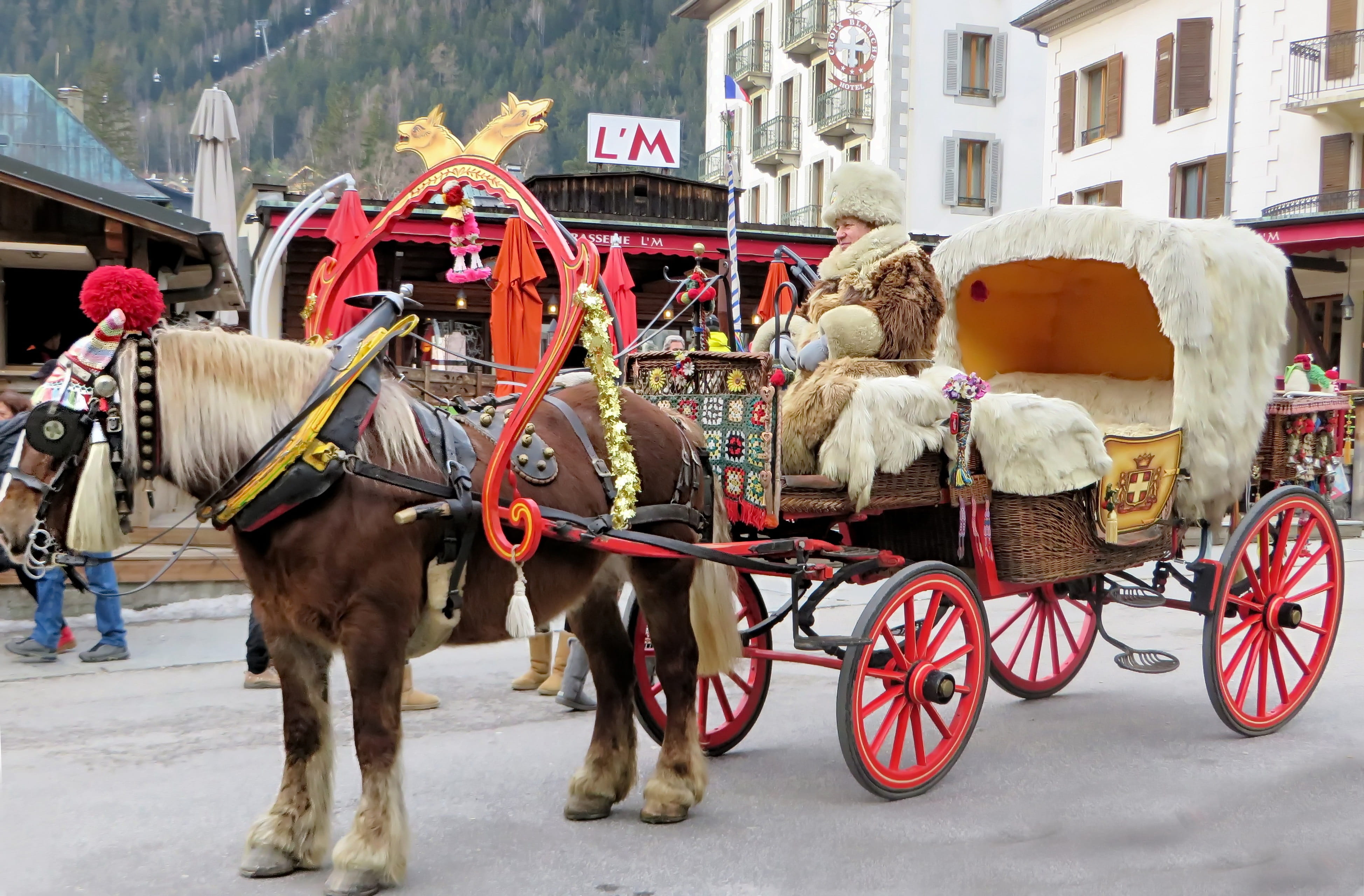 cart, rays, livestock, street, domestic, carriage, transportation, tourism, wheel, chamonix, working animal, ride, horsedrawn, traffic, pets, horse cart, HD Wallpaper