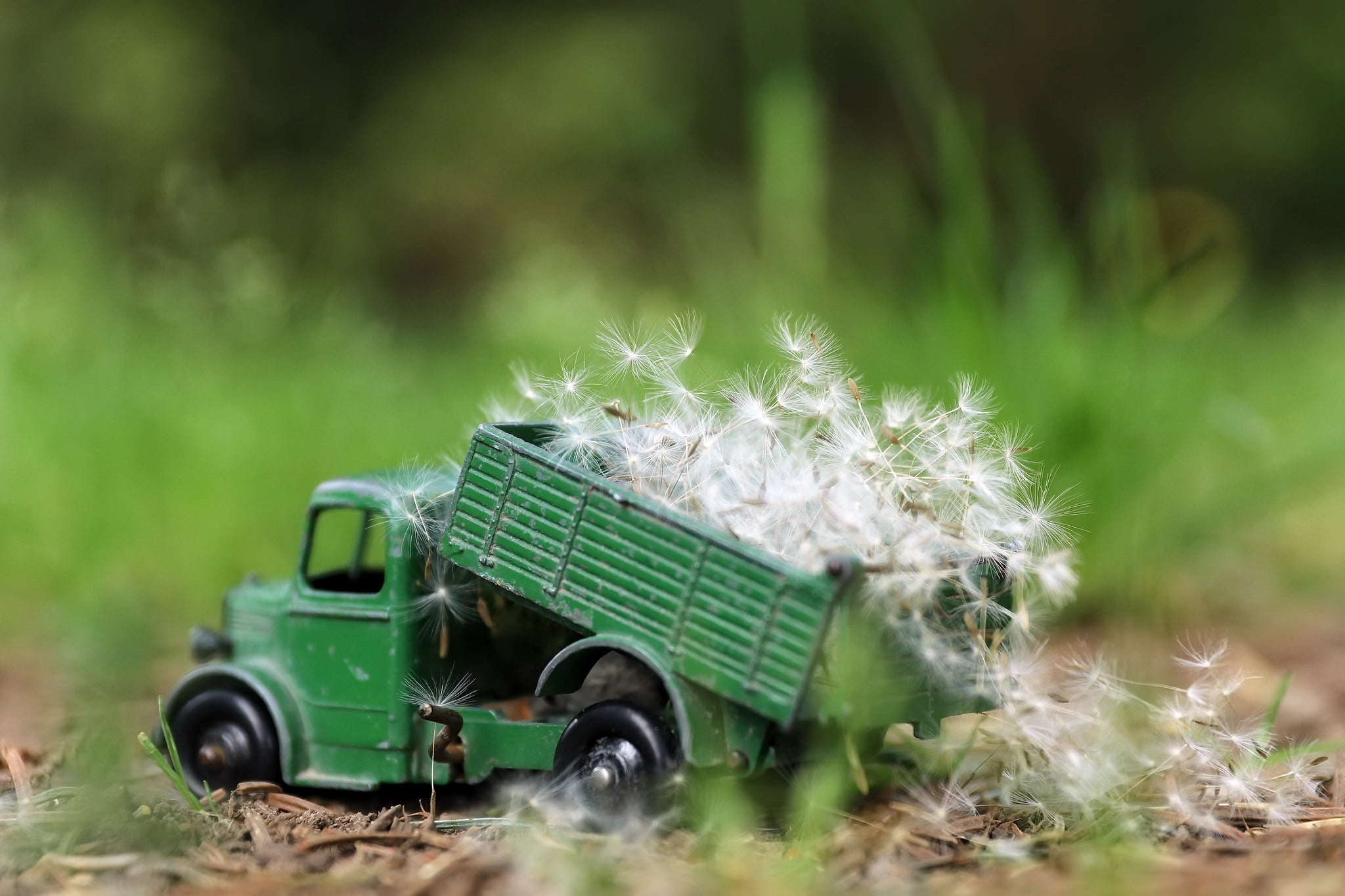 car, plant, close-up, transportation, nature, vehicle, toys, field, 1080P, selective focus, grass, mode of transportation, motion, day, land vehicle, outdoors, HD Wallpaper