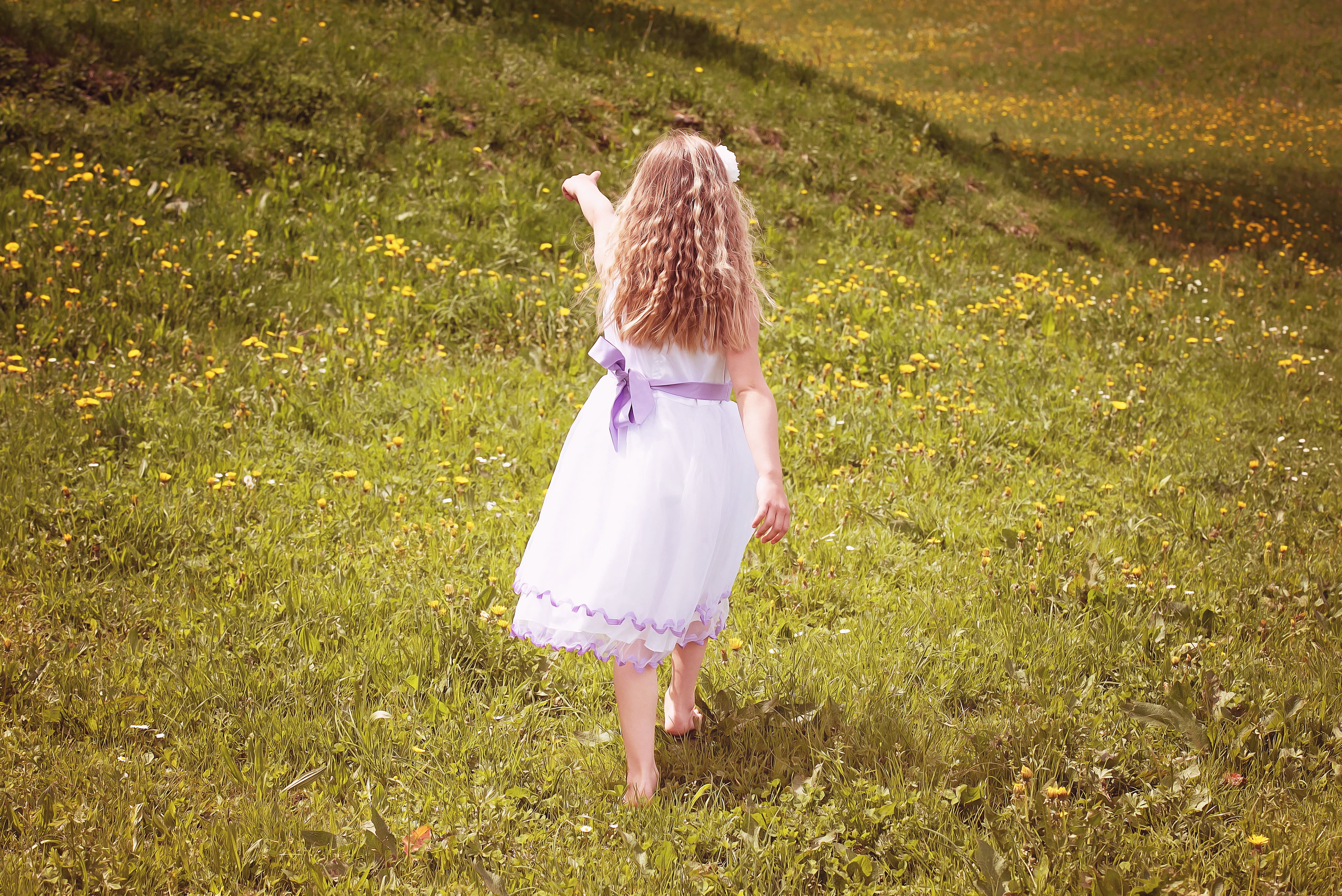 field, childhood, one Person, standing, caucasian Ethnicity, girl, girls, 5K, females, full length, innocence, person, cute, lifestyles, hair, grass, summer, HD Wallpaper