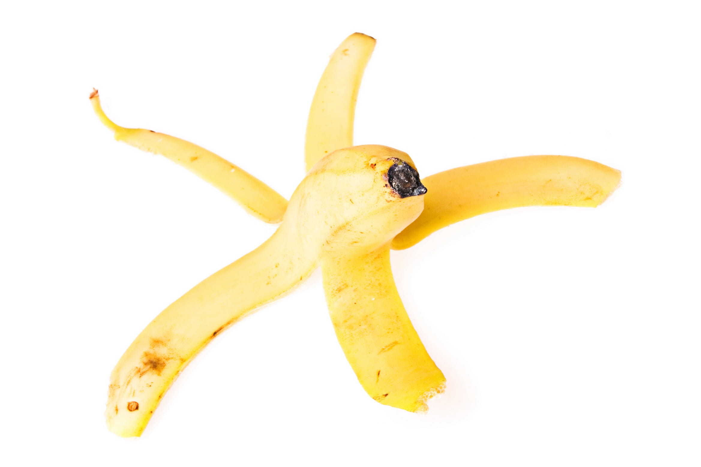 yellow, food and drink, white, white background, frontview, nature, shot, no people, close-up, banana, fruit, studio, slippery, fall, caution, studio shot, HD Wallpaper