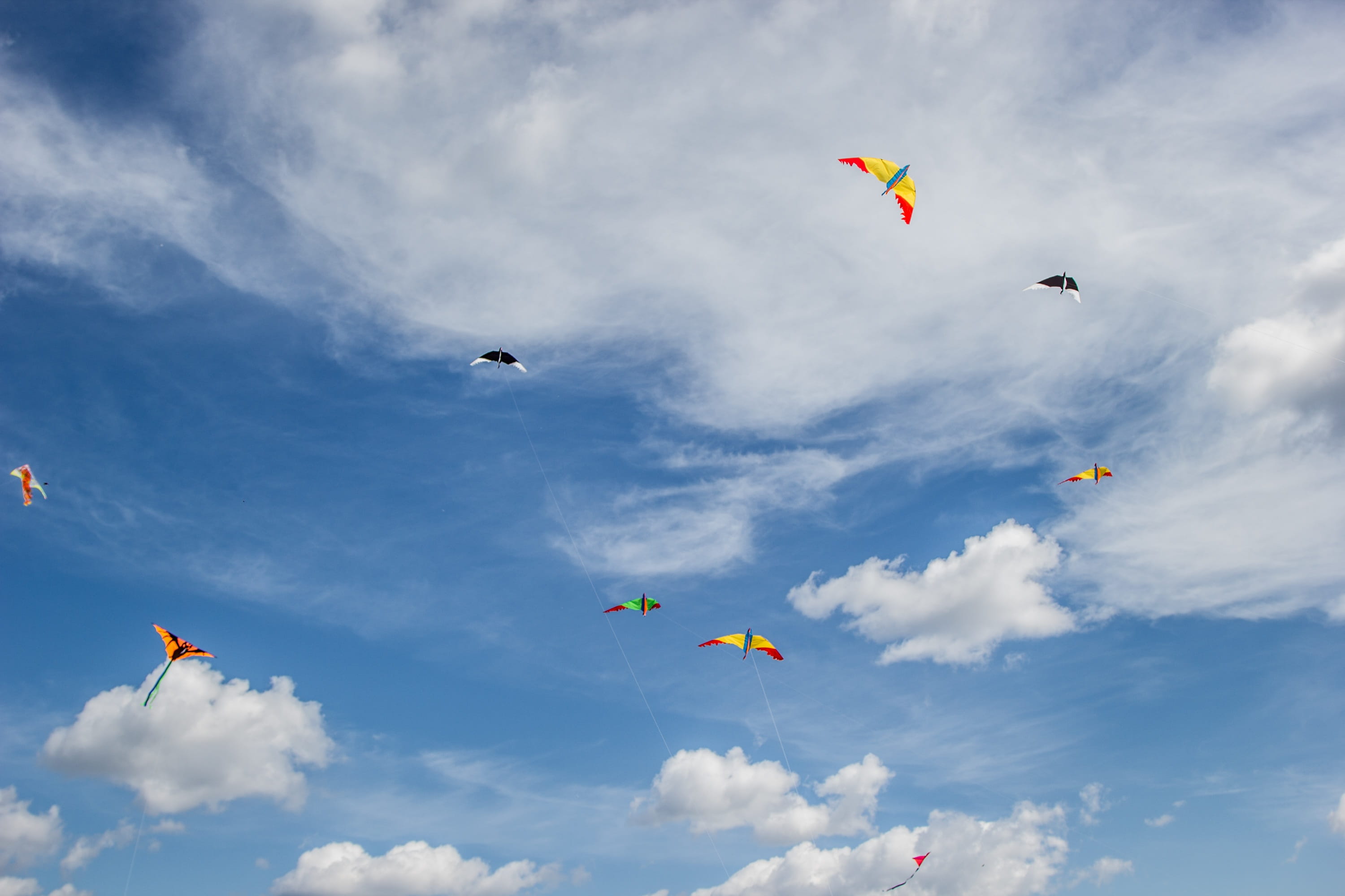Clouds, nature, animals in the wild, environment, kite, weather, outdoors, Clear, entertainment, childhood, beauty in nature, bird, sky, happiness, air, HD Wallpaper
