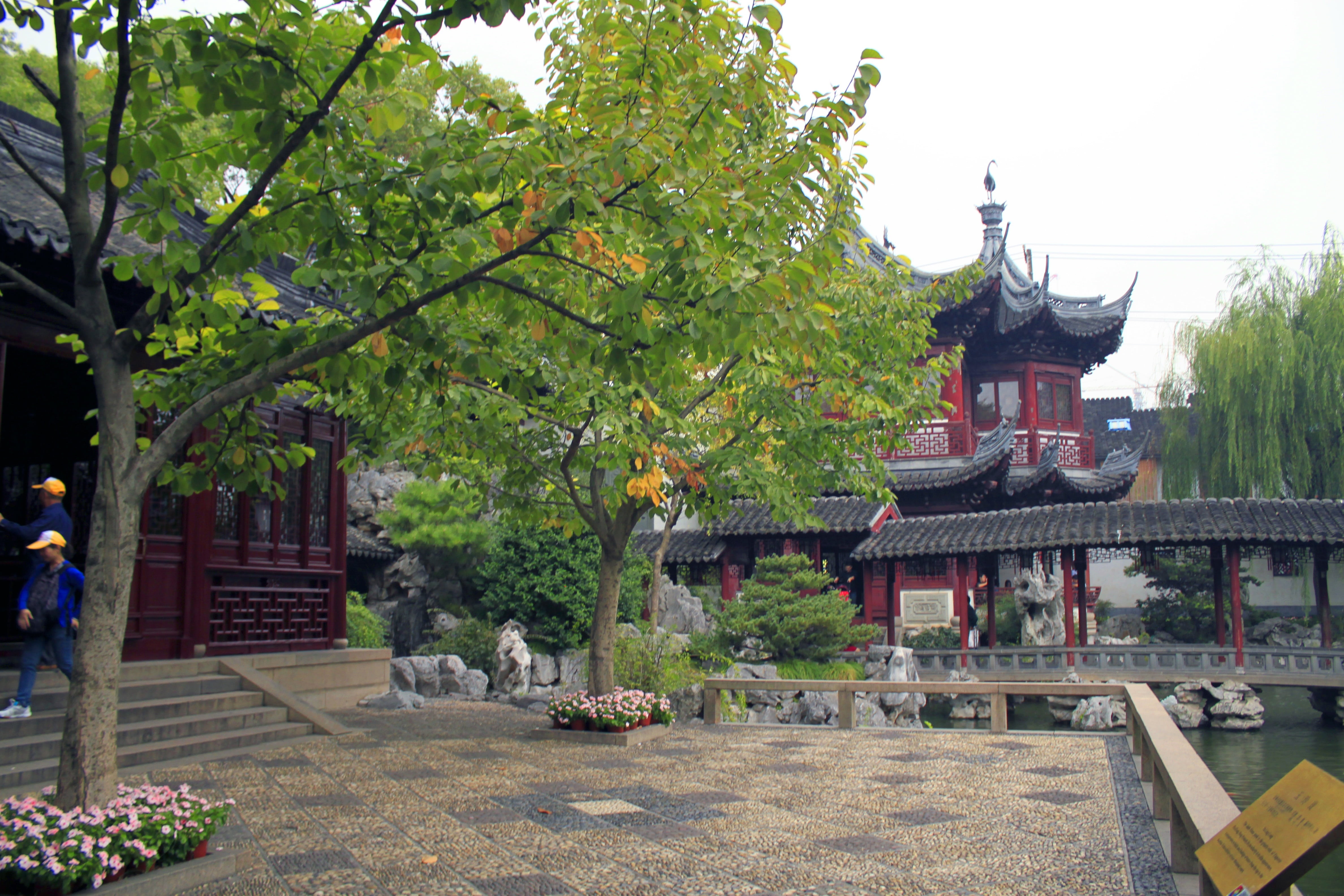 chinese, asia, built structure, building, china, traditional, belief, tree, incidental people, park, spirituality, 4K, green color, outdoors, nature, travel destinations, HD Wallpaper