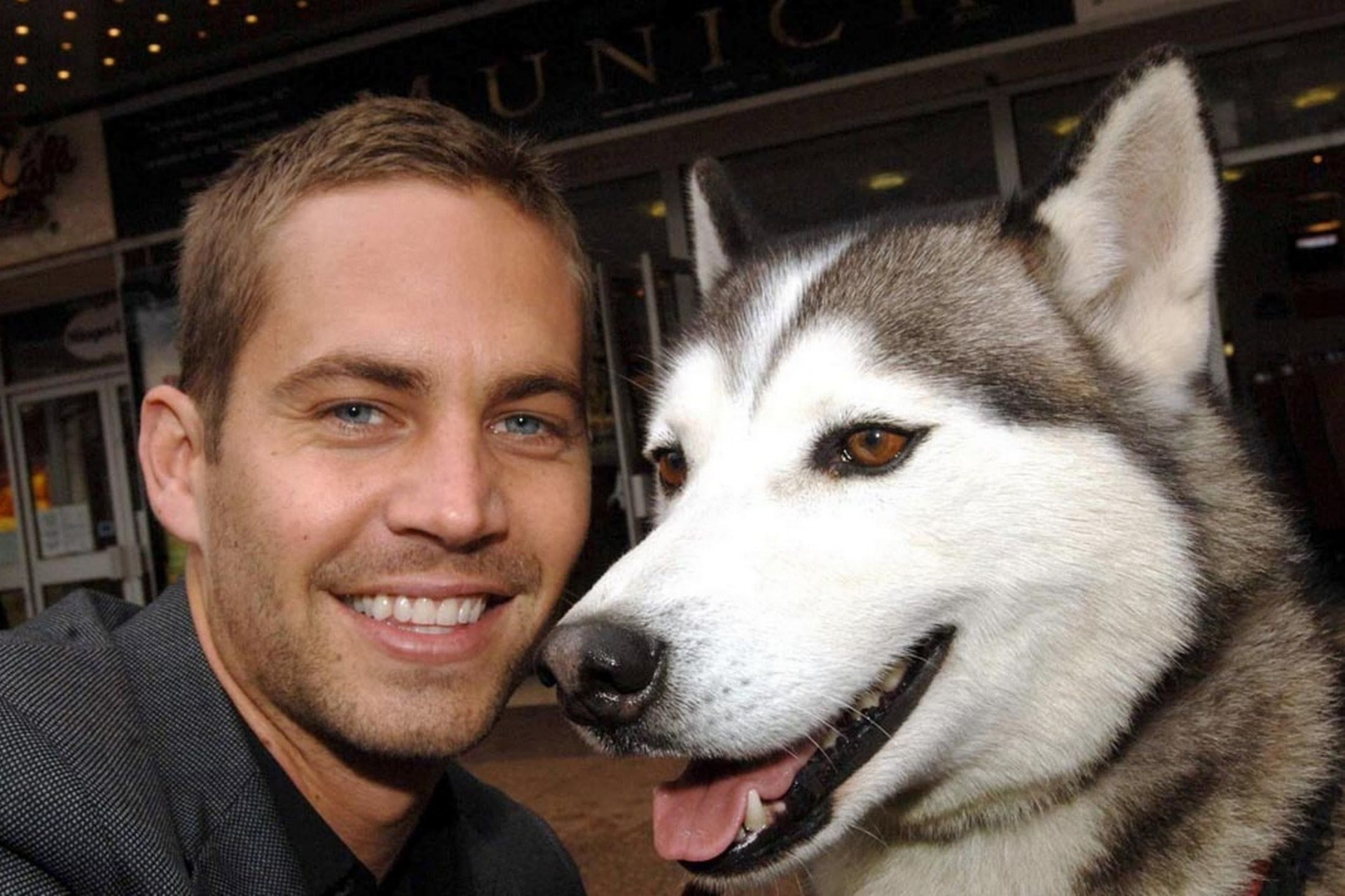 portrait, 1080P, paul walker backgrounds for widescreen, happiness, headshot, care, men, domestic animals, smiling, pets, pet owner, dog, sled dog, domestic, HD Wallpaper