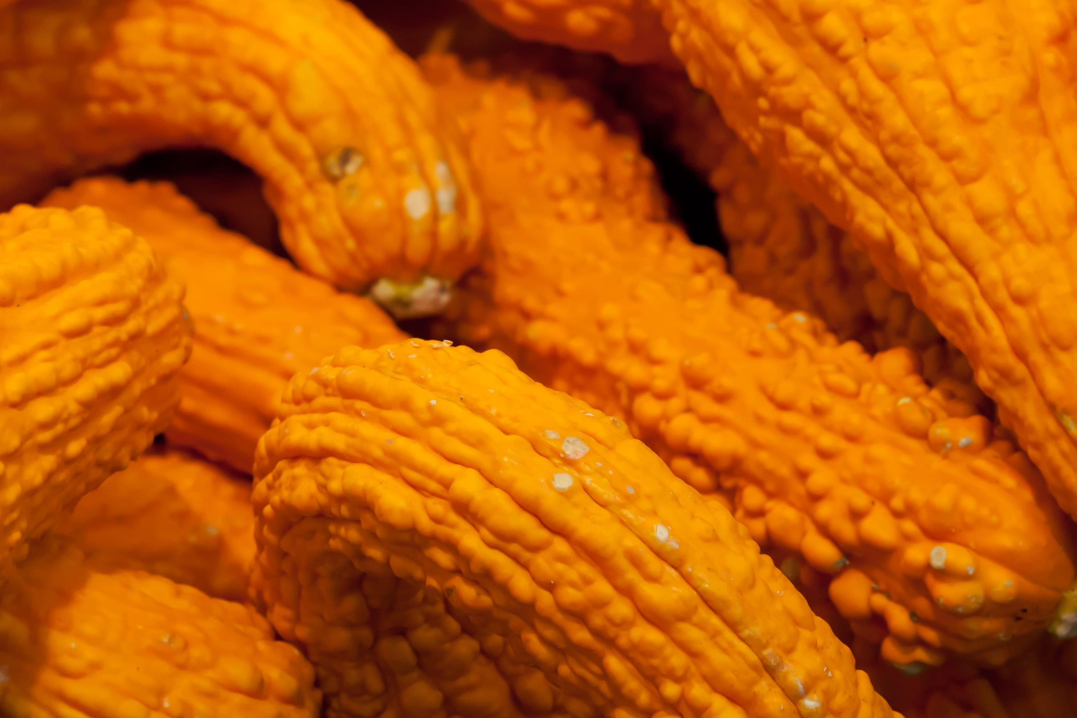 decoration, Food, market, abundance, fresh, still life, stack, orange, freshness, season, indoors, harvest, 2K, for sale, raw food, retail, Squash, food and drink, HD Wallpaper
