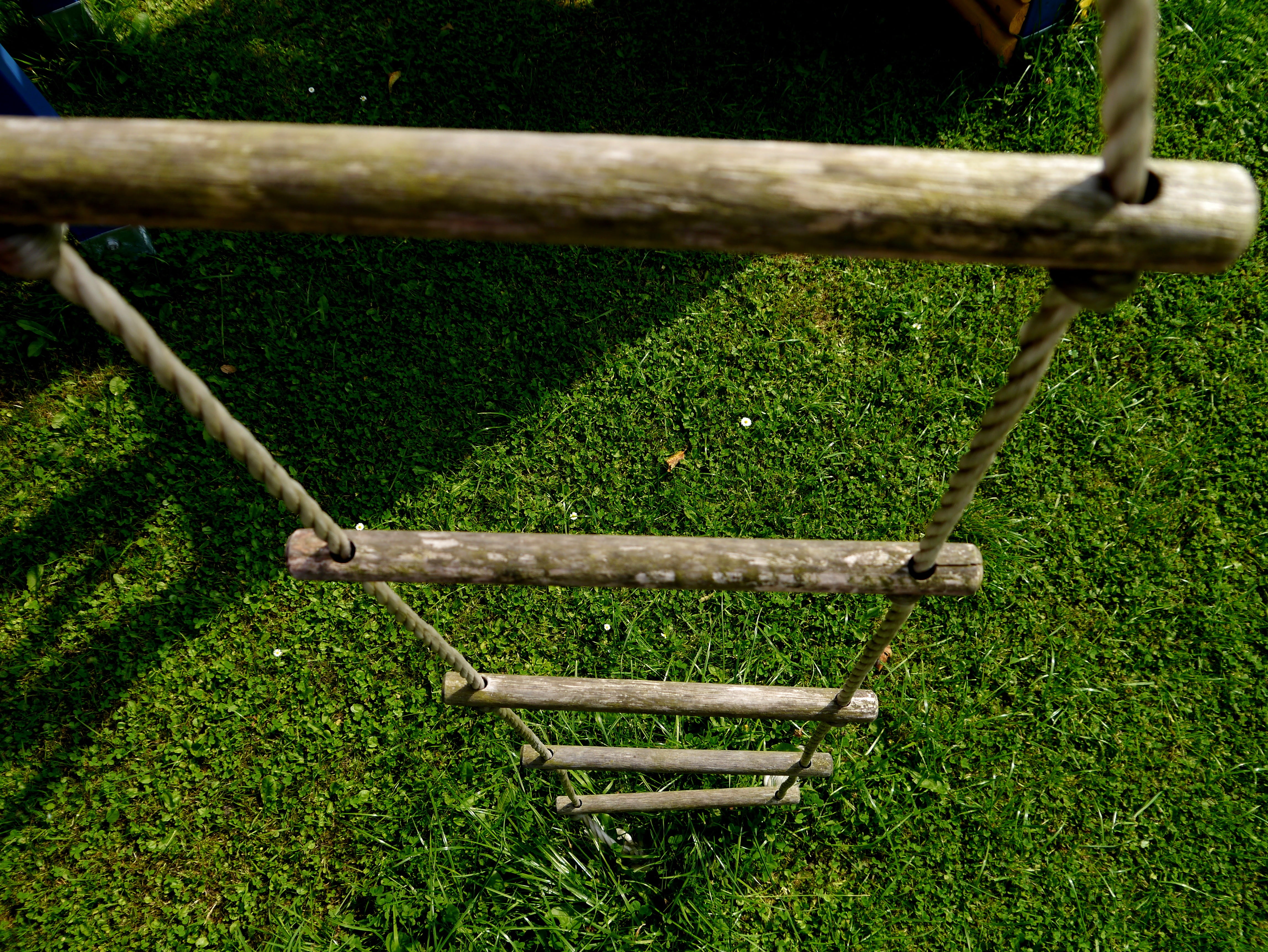 field, plant, rope ladder, park - man made space, tranquility, high angle view, land, day, 4K, beauty in nature, wood - material, empty, nature, outdoors, HD Wallpaper