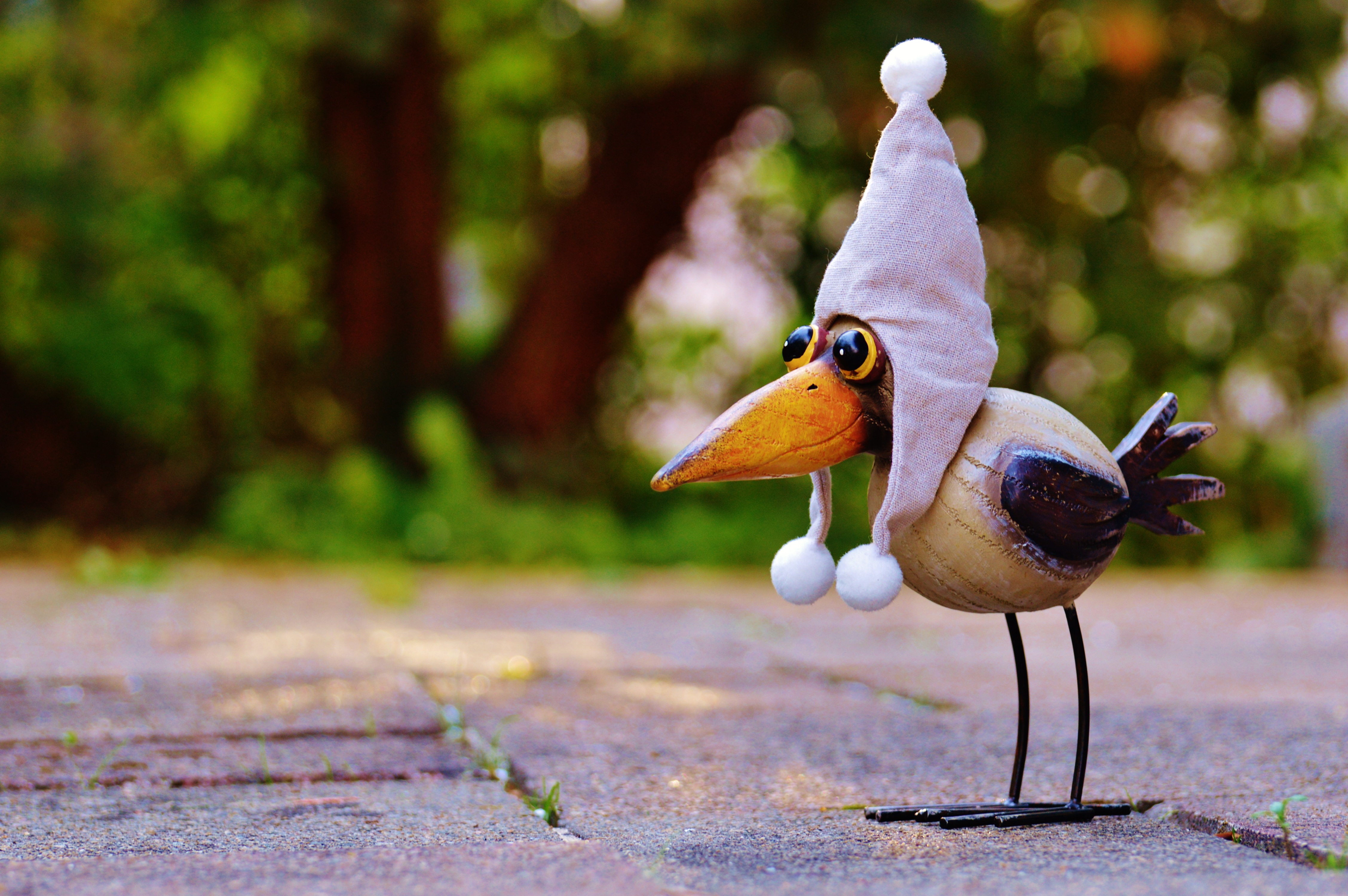 funny, brown, meadow, focus on foreground, selective focus, nature, bobble, vertebrate, animal, two animals, figure, park, cute, animals in the wild, poultry, HD Wallpaper