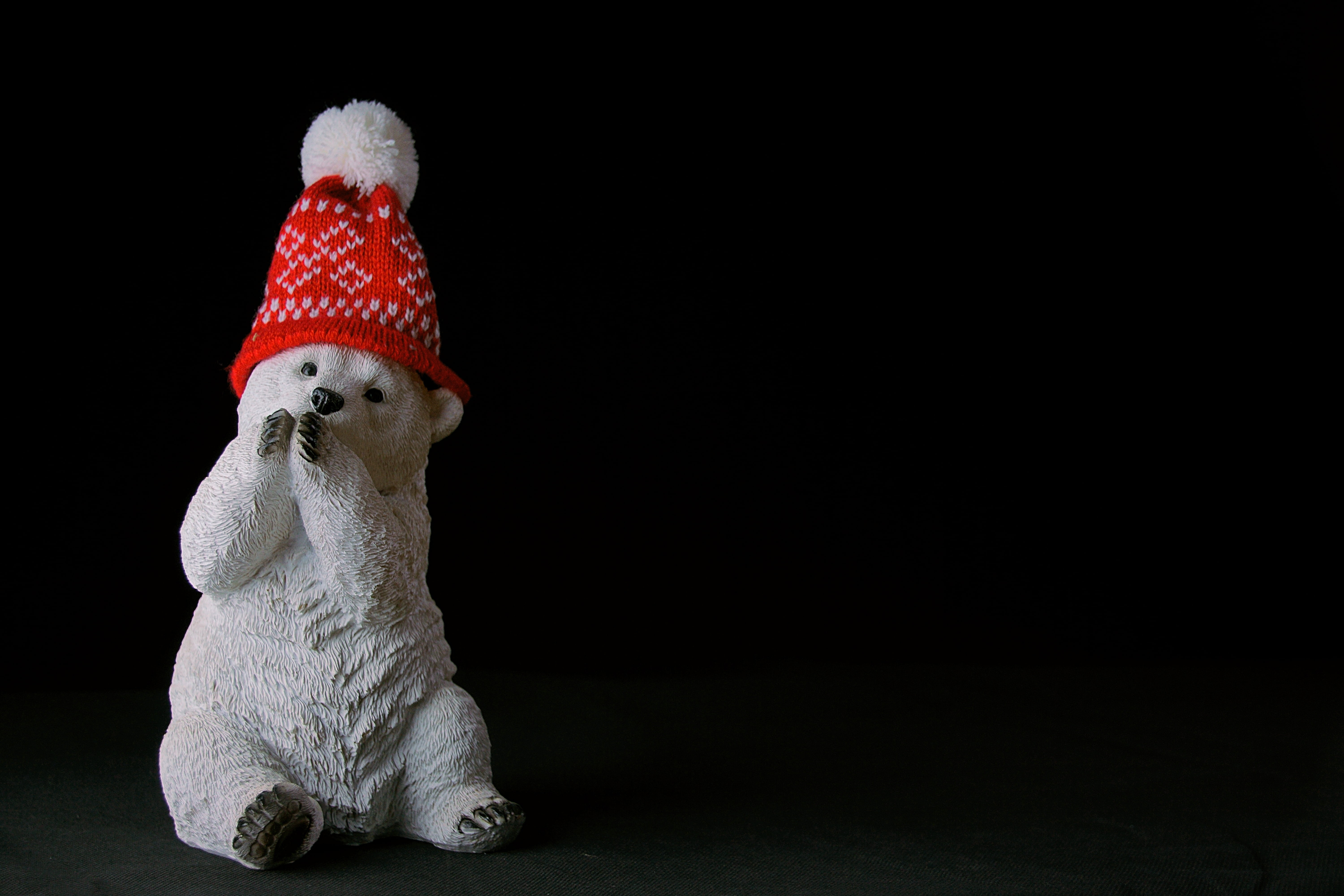 bobble, art and craft, bear, hat, animal representation, representation, stuffed toy, copy space, creativity, black background, toy, red, polar, HD Wallpaper