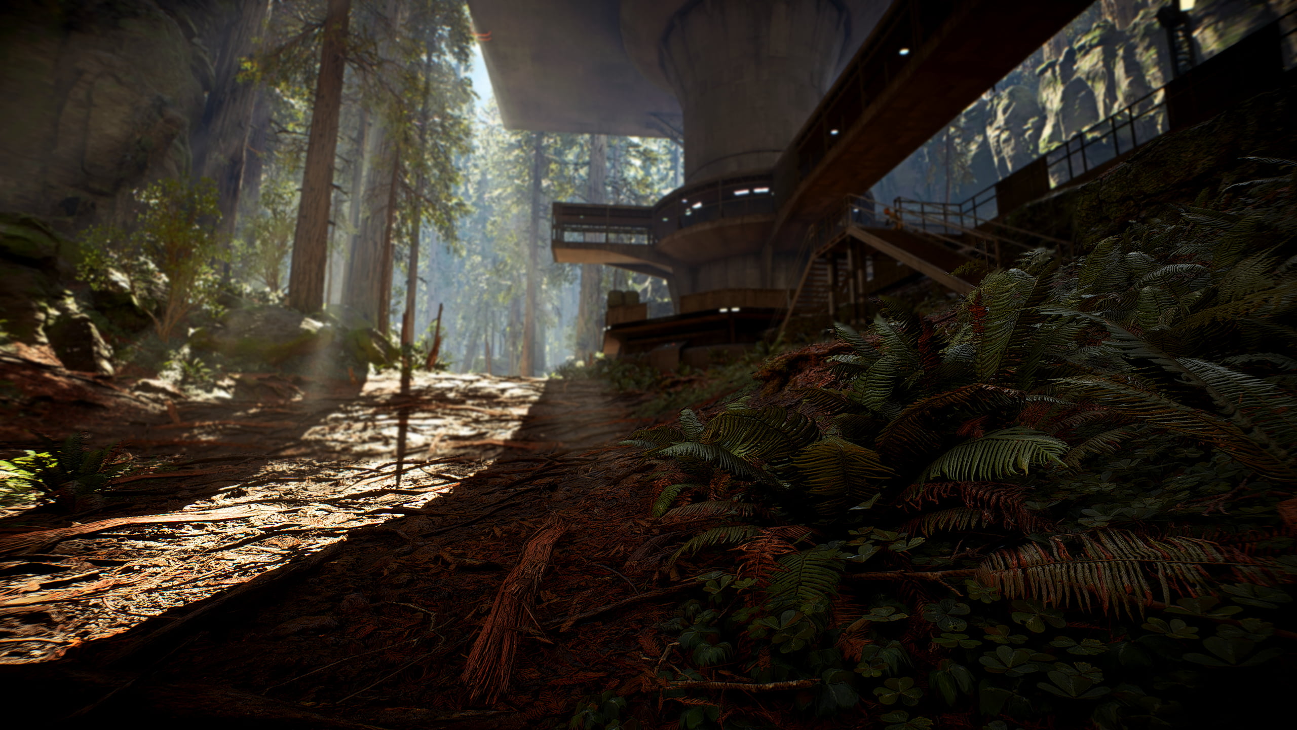 2K, Star Wars Battlefront II (2017), Endor (Star Wars), Star Wars, HD Wallpaper