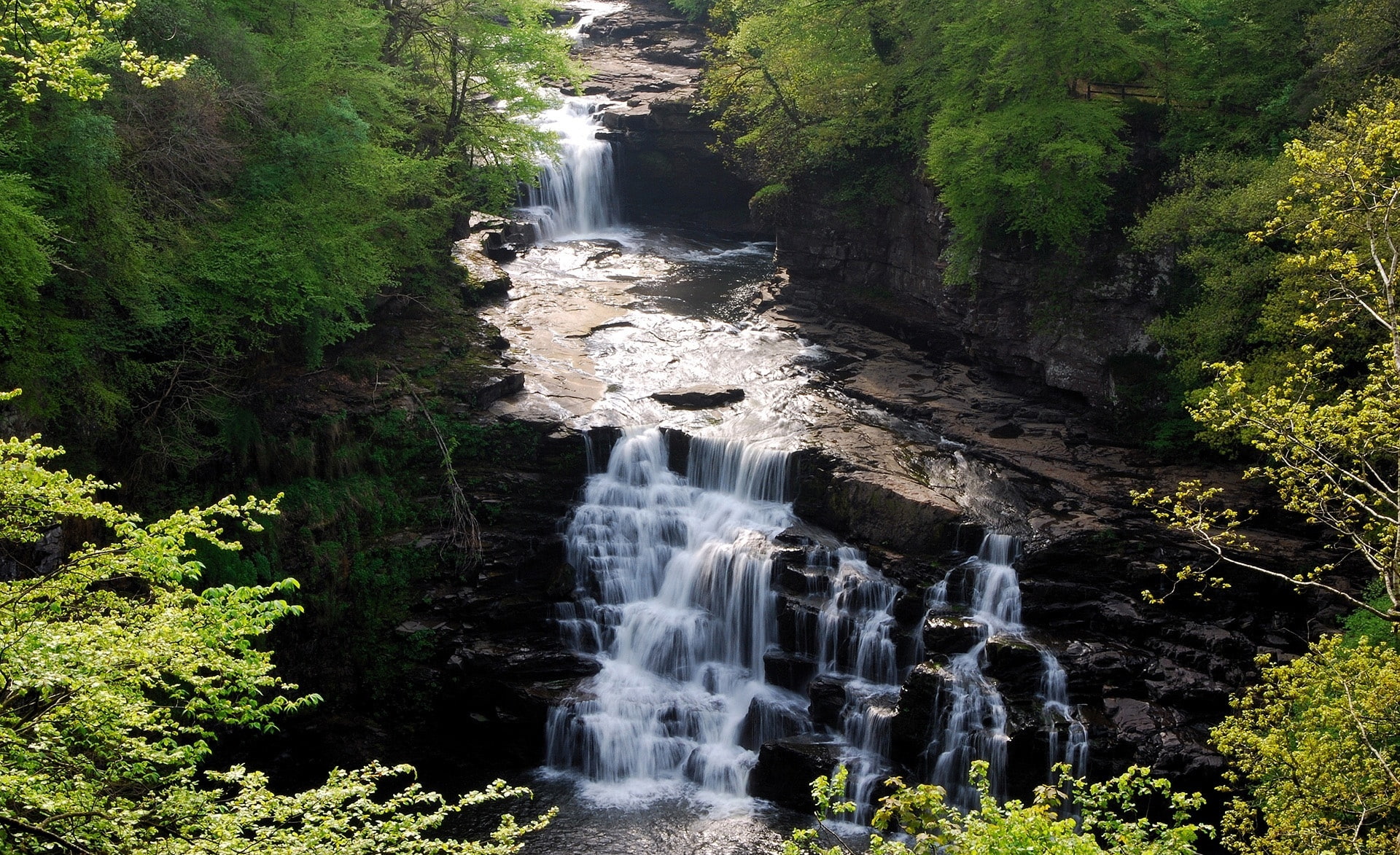 south lanarkshire, clyde, solid, cascading, growth, scotland, waterfall, forest, rock, River, falls of clyde, flowing water, outdoors, river clyde, land, HD Wallpaper