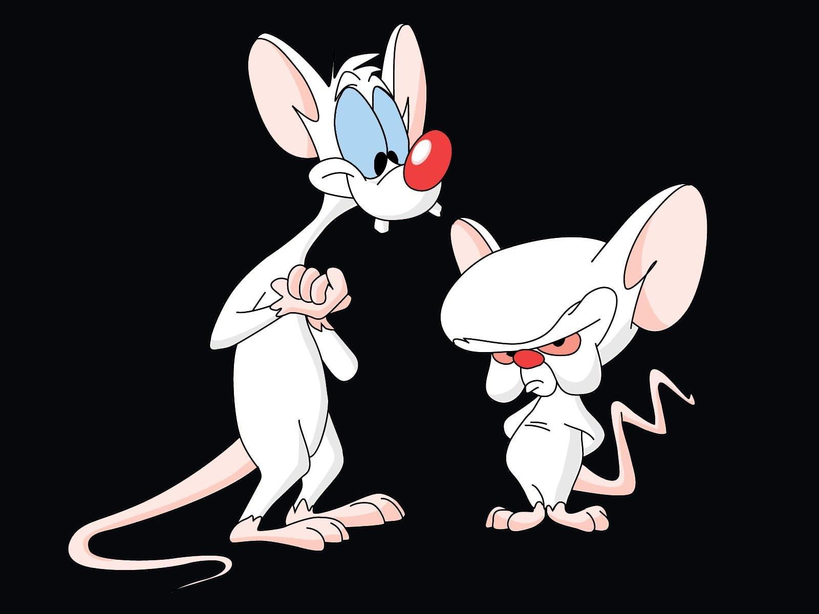 pinky and the brain, 720P, HD Wallpaper