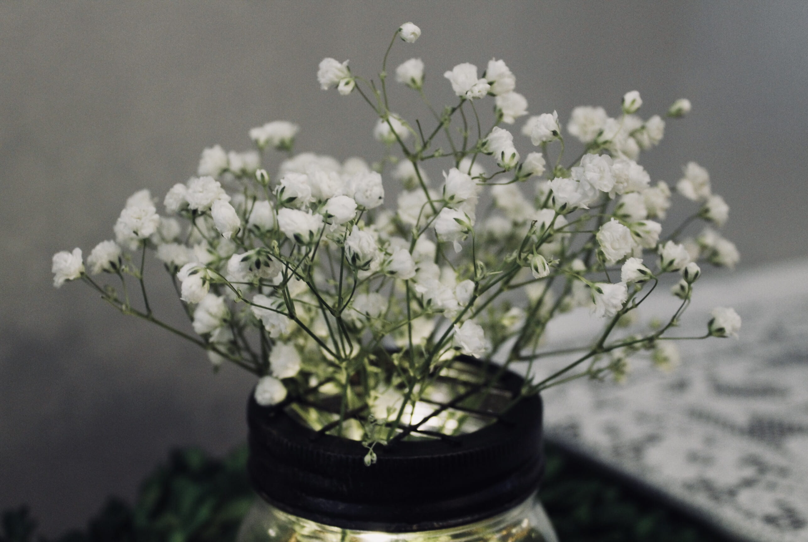 mason jar, bouquet, rustic, background, case, growth, wedding, beauty in nature, flower, outdoors, close-up, petal, green, 2K, flower arrangement, potted plant, HD Wallpaper