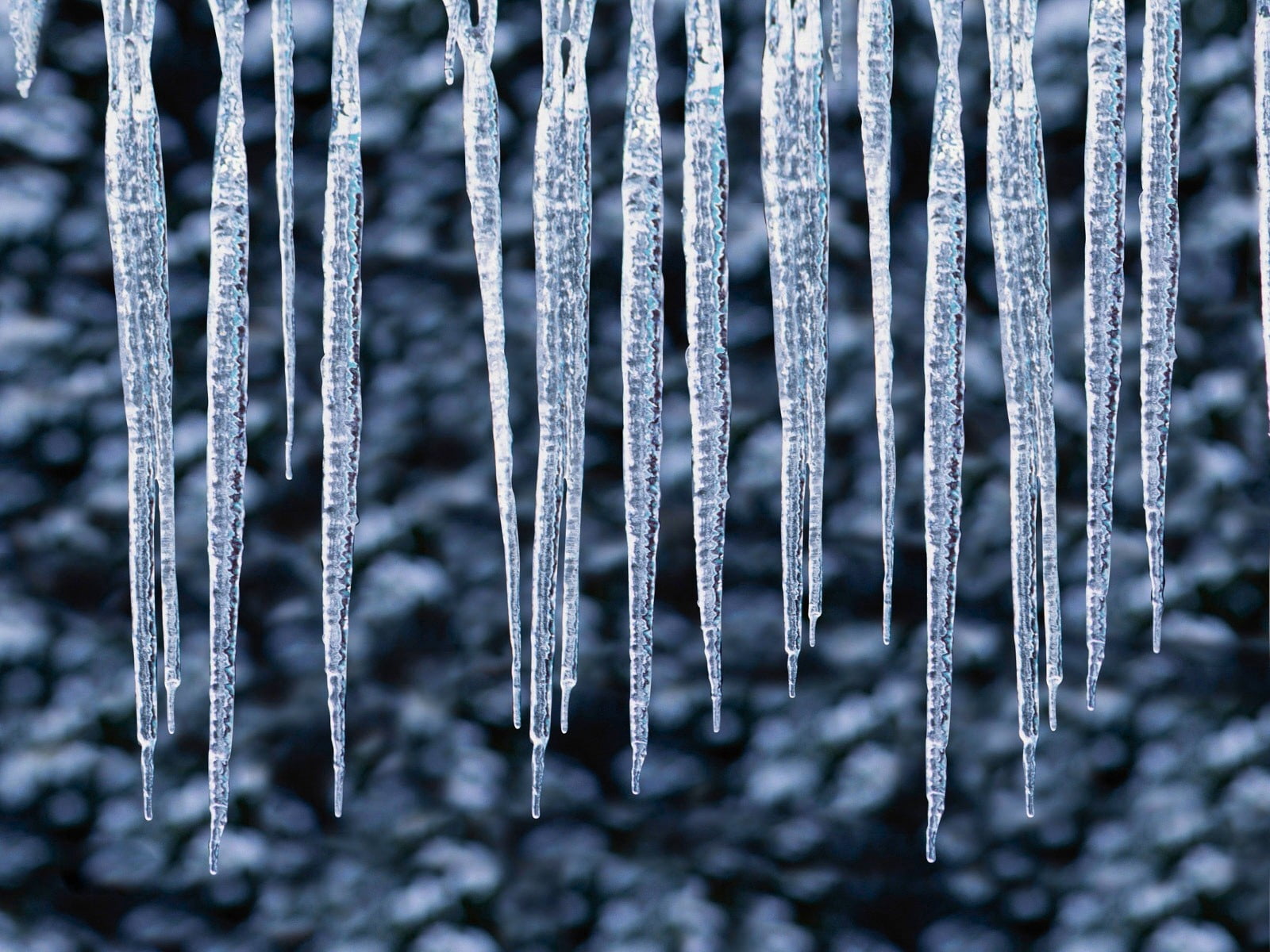 water, hot, plant, frost, photo, frozen, macro, backgrounds, close-up, focus on foreground, metal, no People, fragility, steel, abstract, blue, cold temperature, HD Wallpaper