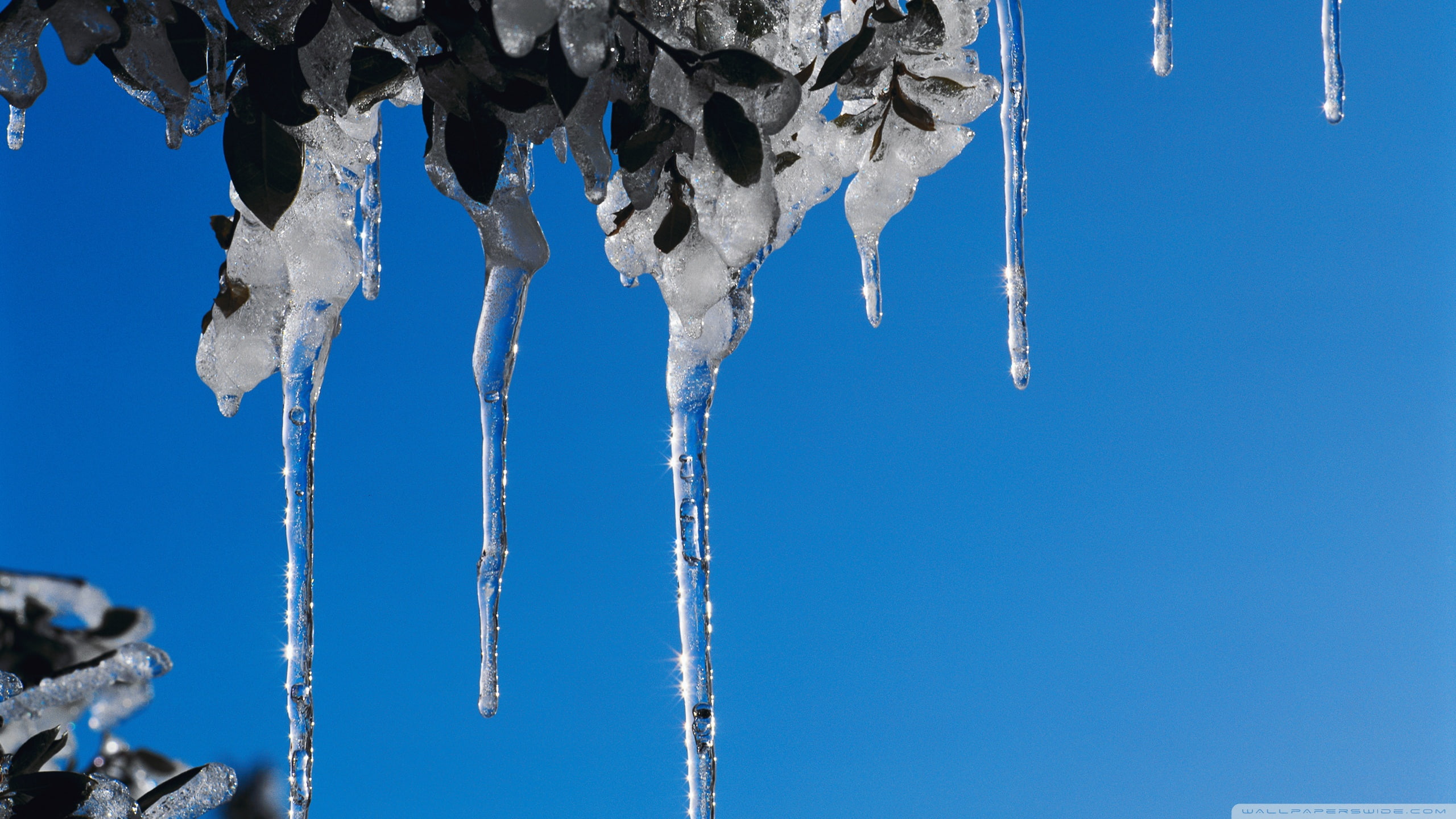 icicles, hd, winter, ice, blue, 2K, frozen, nature, HD Wallpaper