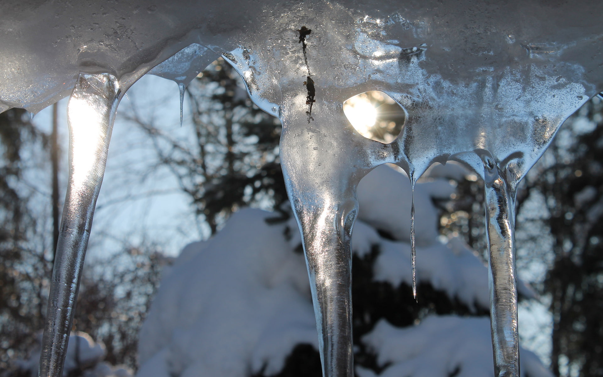 hd, icicle, nature, sunlight, winter, 1080P, HD Wallpaper