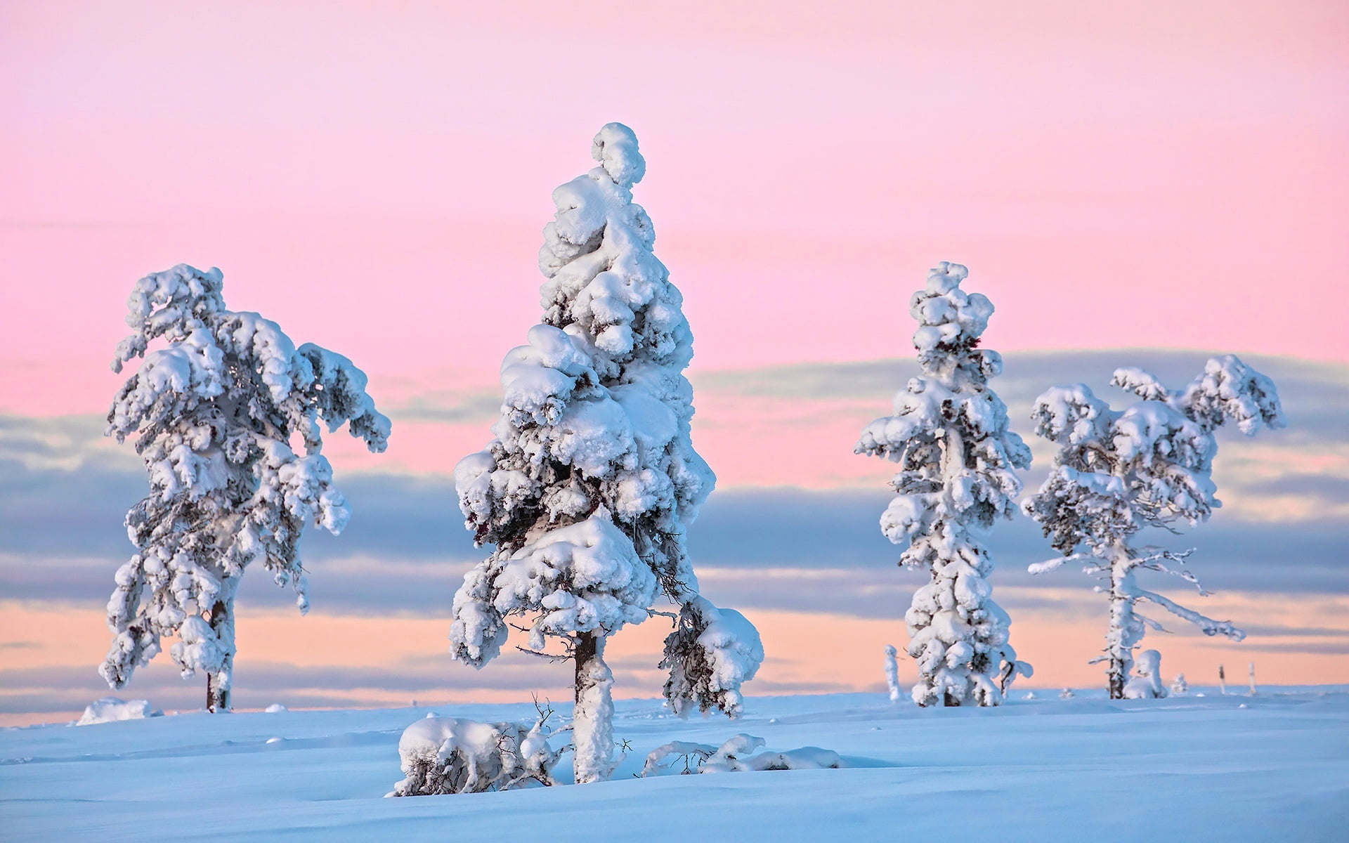 environment, sky, covering, 1080P, tranquil scene, no people, land, snow, beauty in nature, tranquility, scenics - nature, trees, plant, frozen, tree, HD Wallpaper