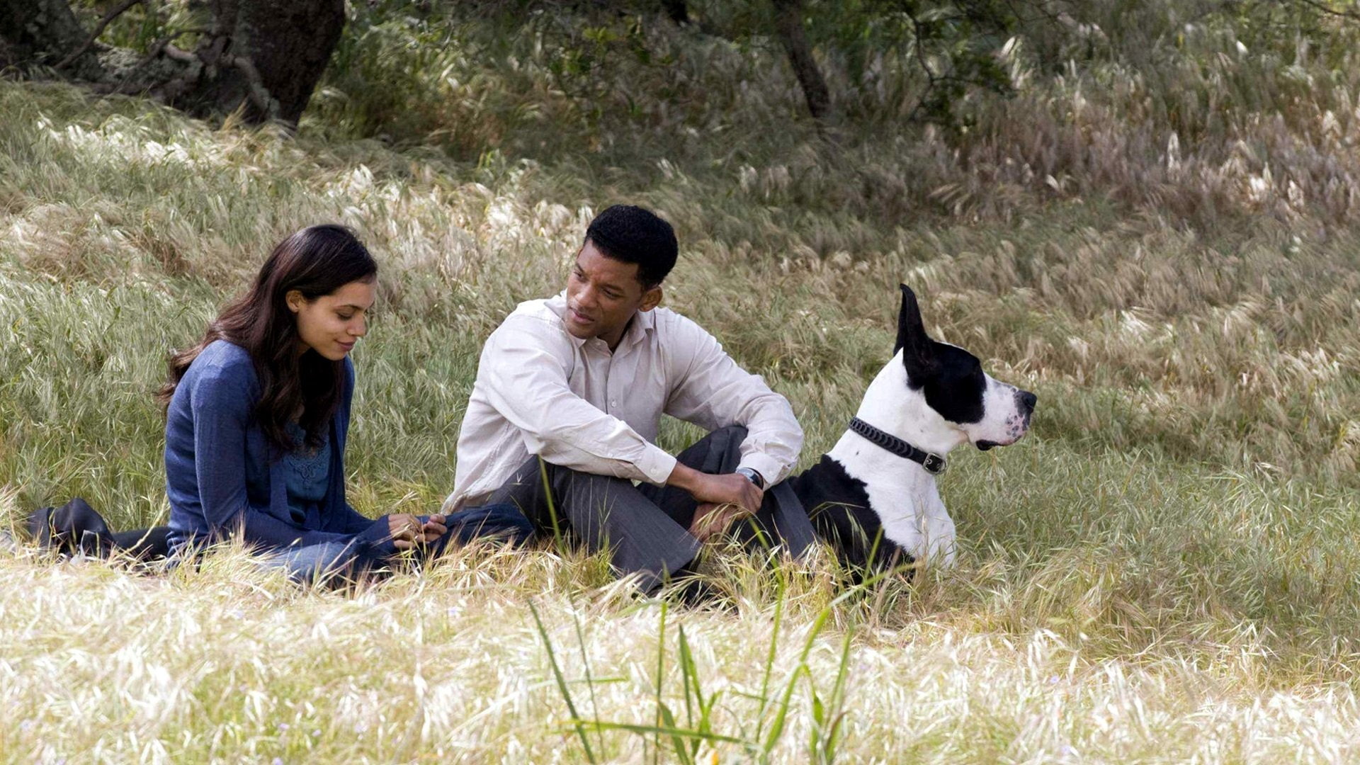 1080P, Movie, Rosario Dawson, Will Smith, Seven Pounds, HD Wallpaper