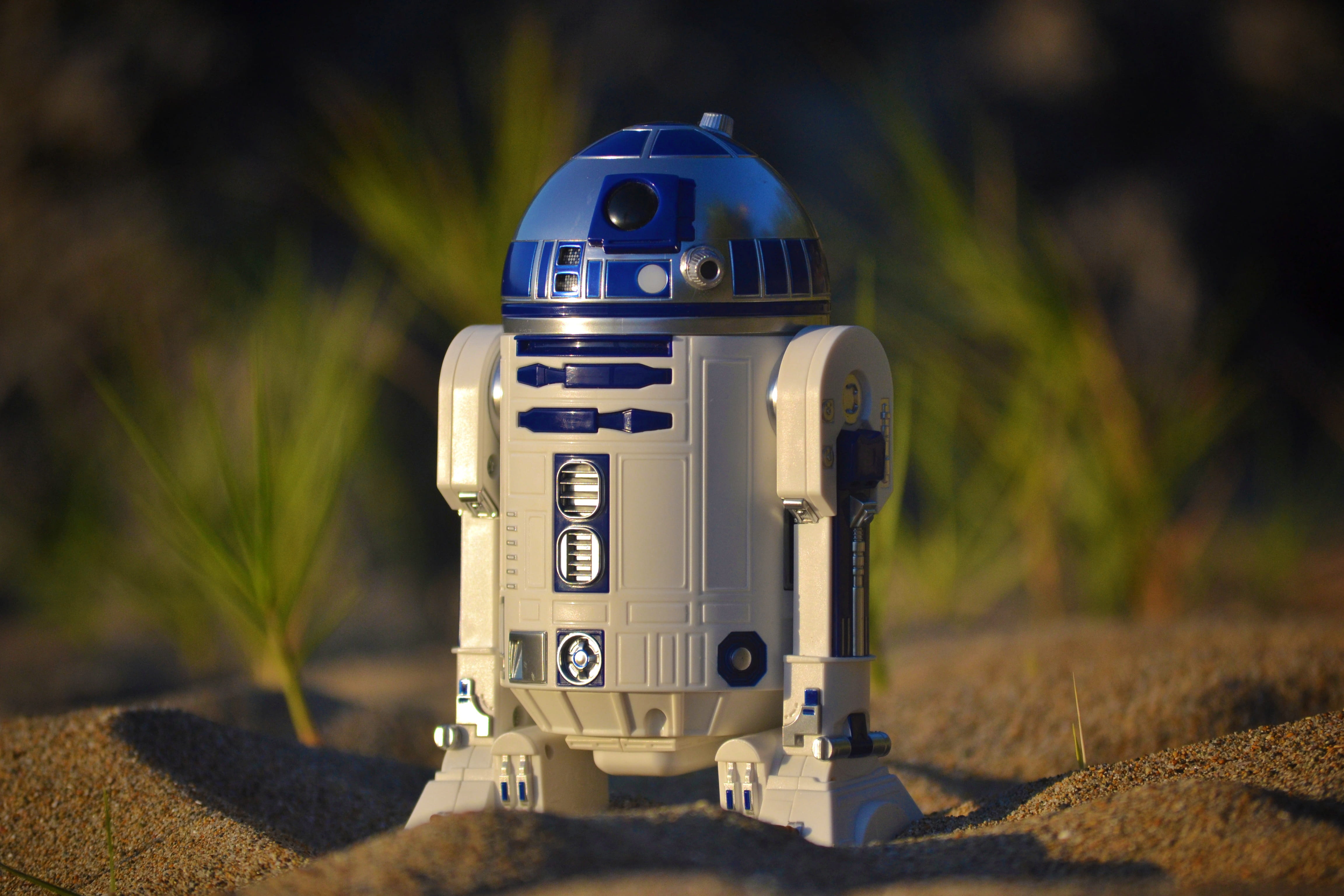 robot, r2d2, d, photography themes, number, single object, science, shallow, ground, camera - photographic equipment, nature, text, day, close-up, optical instrument, HD Wallpaper