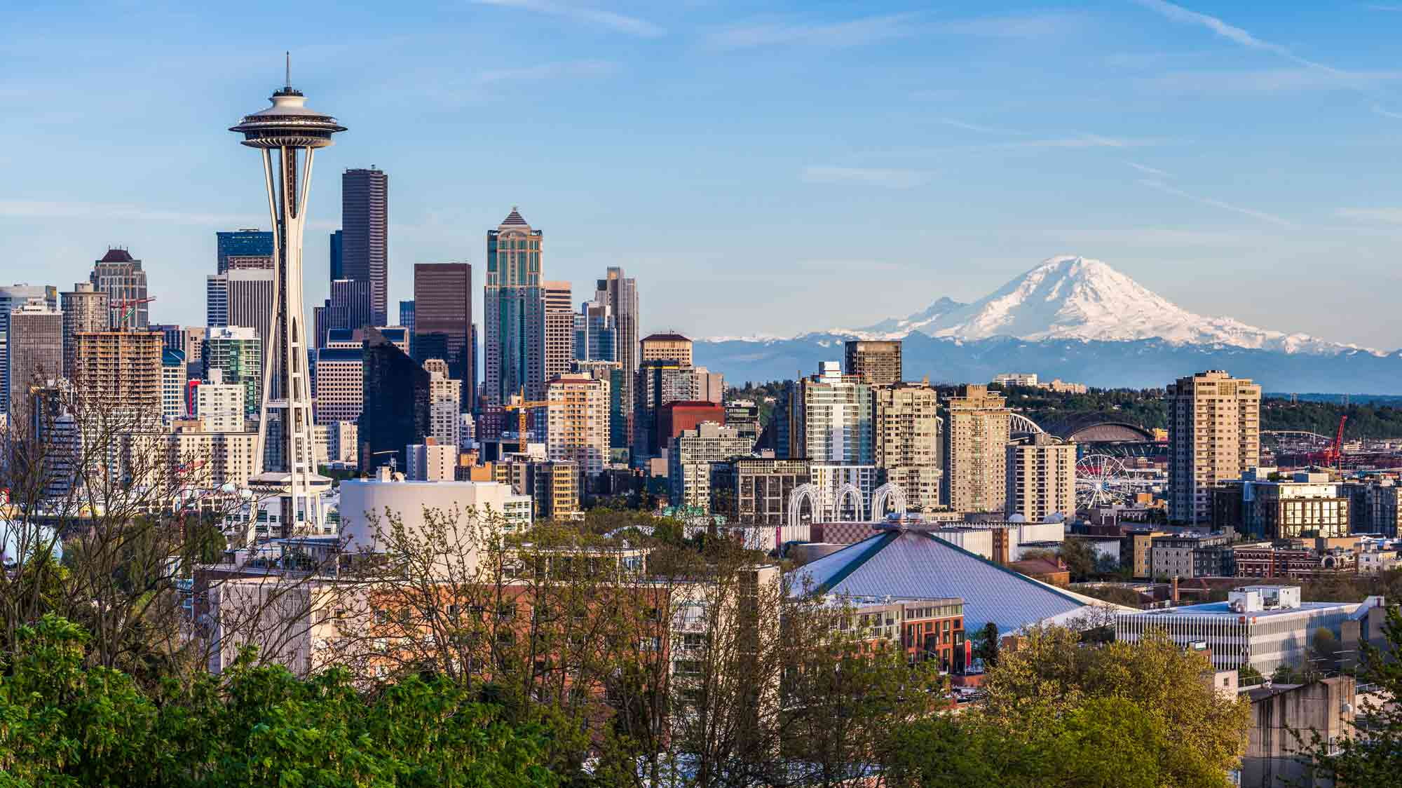mountain, skyscraper, plant, built structure, building exterior, 1080P, seattle, city, landscape, no people, outdoors, building, tall - high, office building exterior, HD Wallpaper