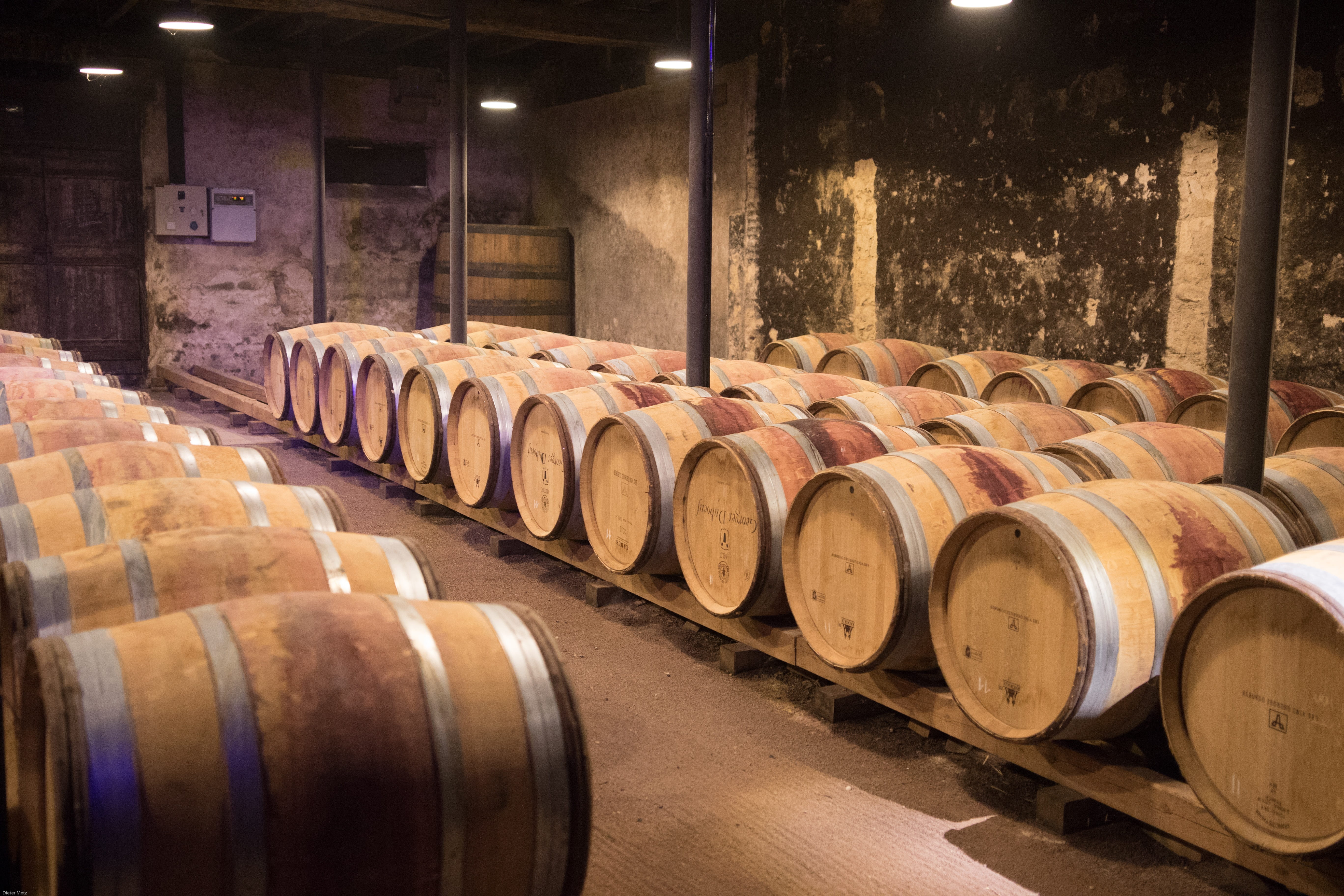 barrels, glass, large group of objects, wooden barrels, wine, keller, cylinder, Wine Barrels, storage, barrel, no people, wine cask, business, wine barrel, HD Wallpaper