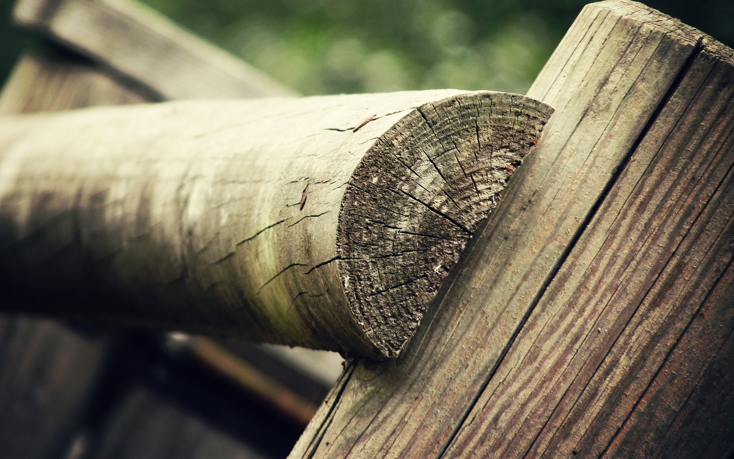 tree trunk, focus on foreground, fence, cylinder, old, selective focus, tree, wood, nature, 2K, day, metal, no people, pattern, log, timber, closeup, plant, HD Wallpaper