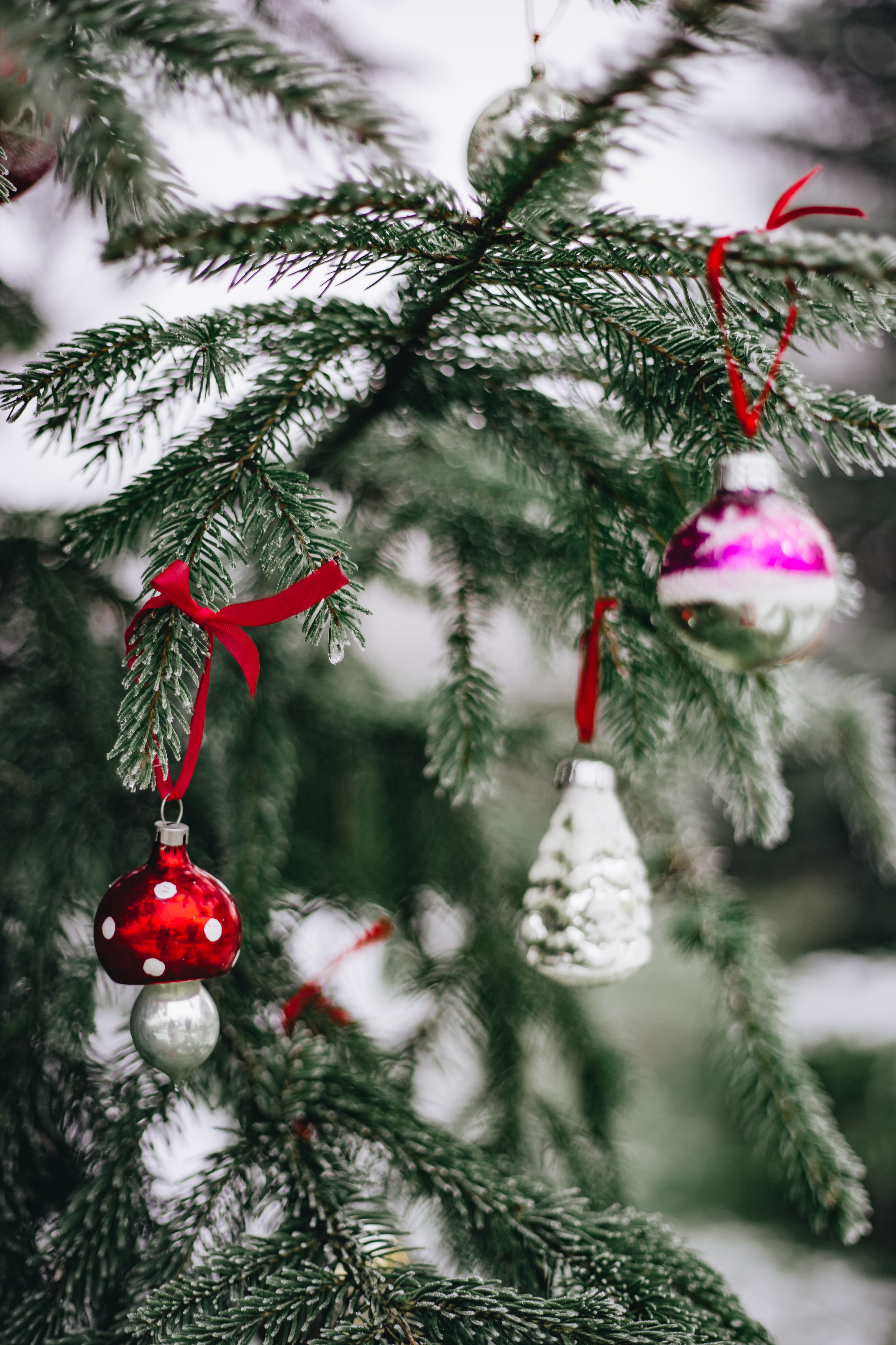 hanging, december, nature, tree, outdoors, evergreen tree, christmas decoration, old, snow, christmas tree, christmas ornament, retro, focus on foreground, Phone HD Wallpaper