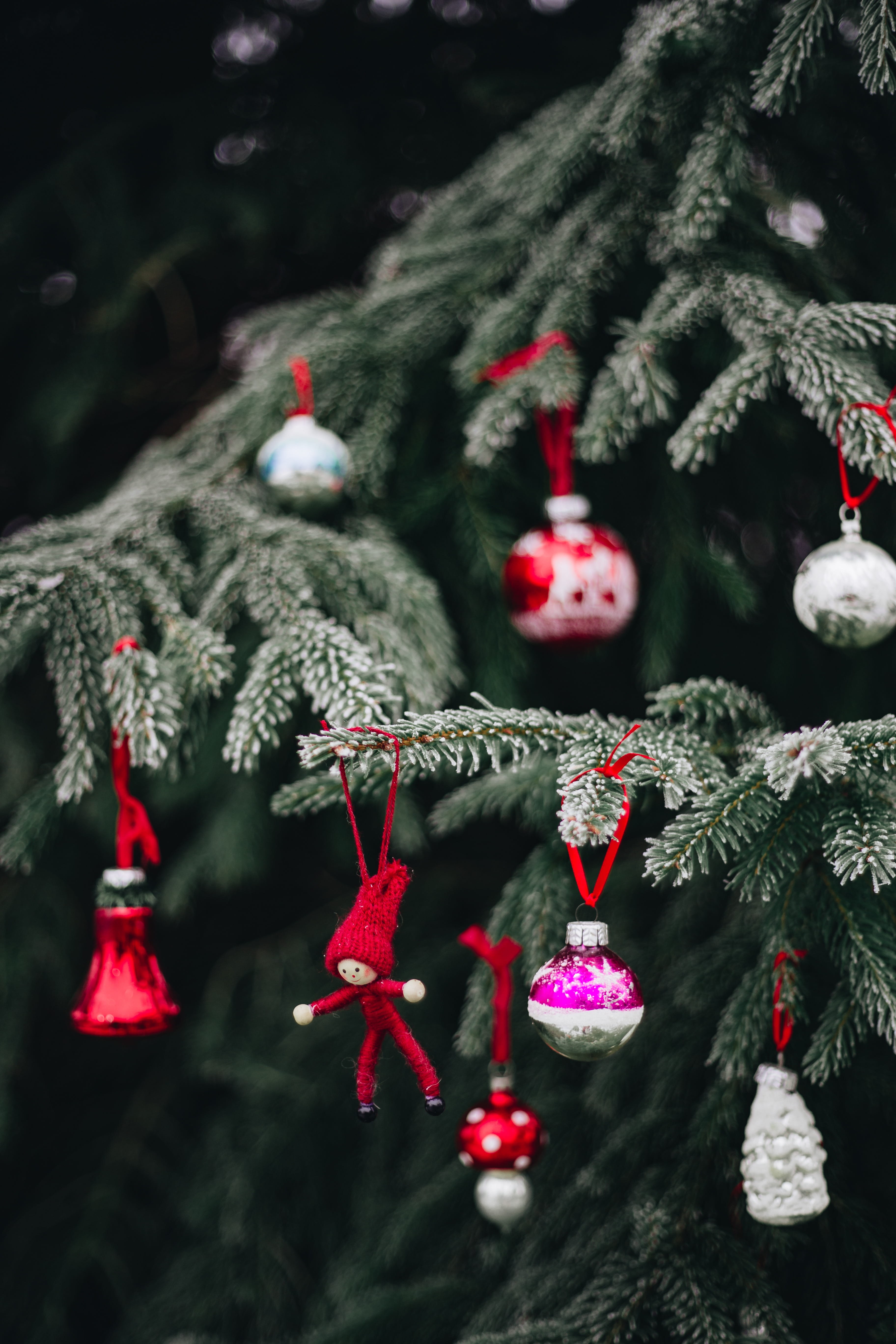 focus on foreground, plant, 5K, decoration, christmas decoration, ornaments, close-up, cold temperature, snow, no people, tree, hanging, christmas ornament, Phone HD Wallpaper