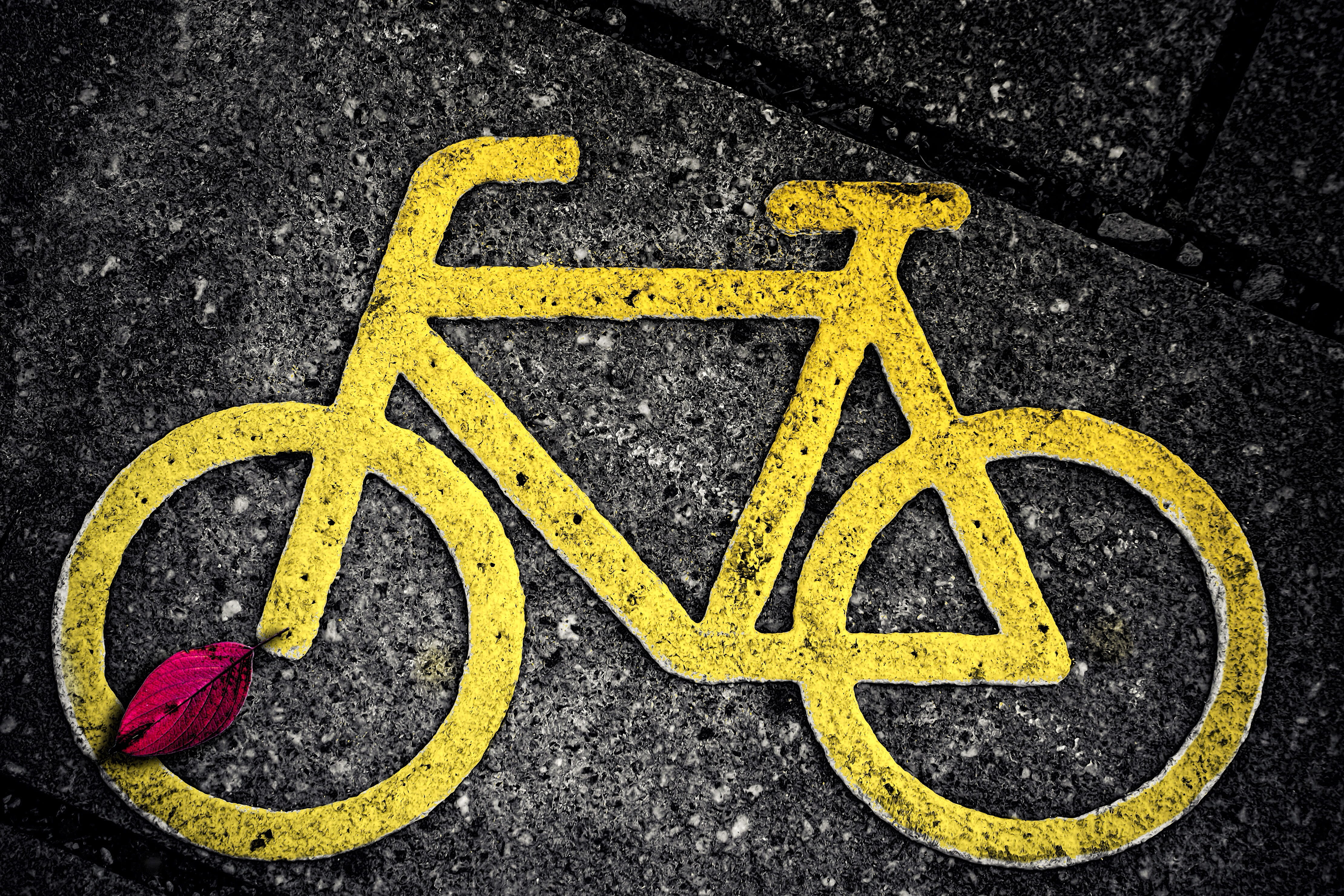 road marking, black color, road, information sign, bicycle wheel, outdoors, information, 4K, sheet, professional road bicycle racer, band, road sign, street, HD Wallpaper