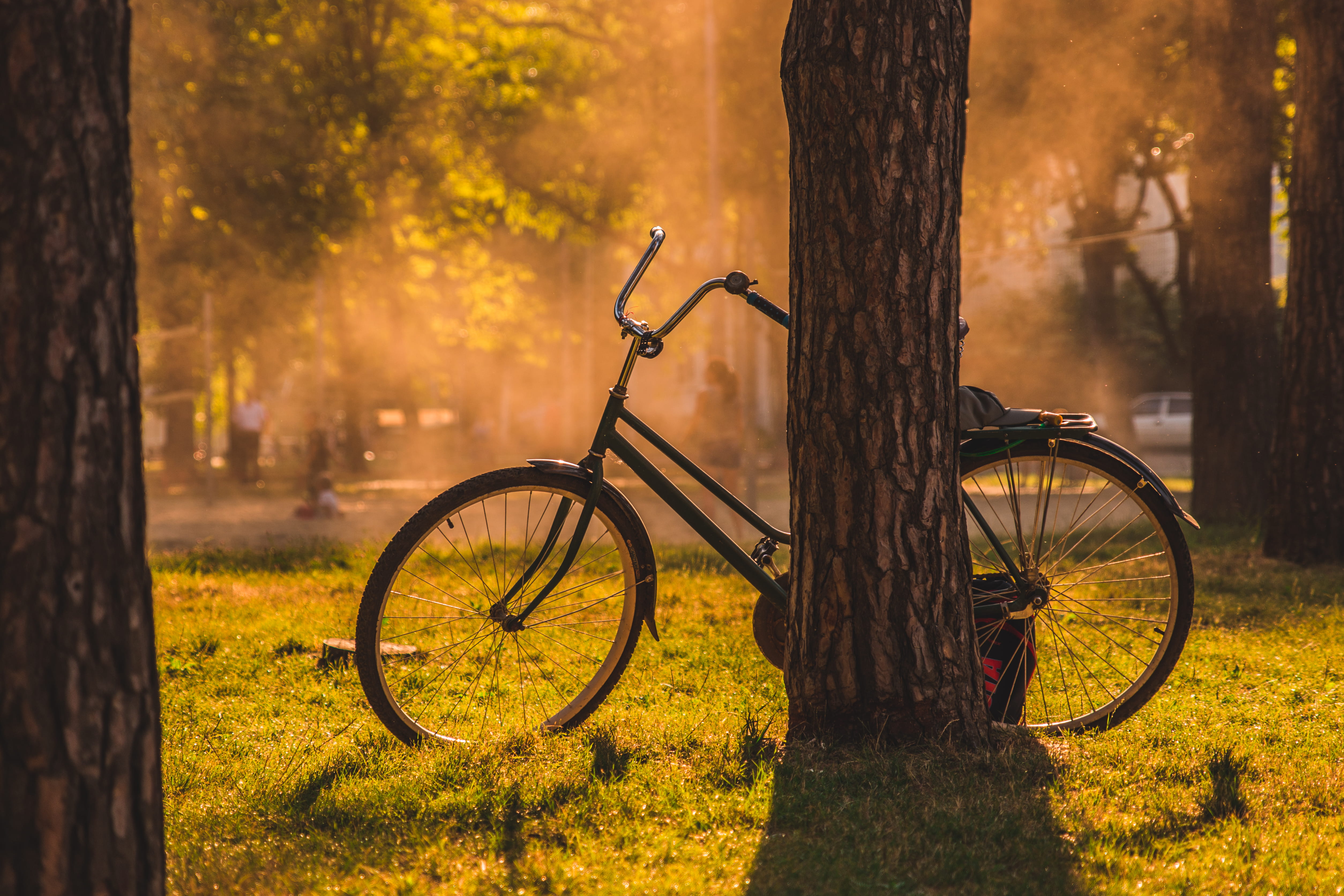landscape, backgrounds, 4K, wheel, trunk, tree, old-fashioned, chopper, red, sunset, leaf, light, cycle, outdoors, orange Color, yellow, cycling, no People, HD Wallpaper