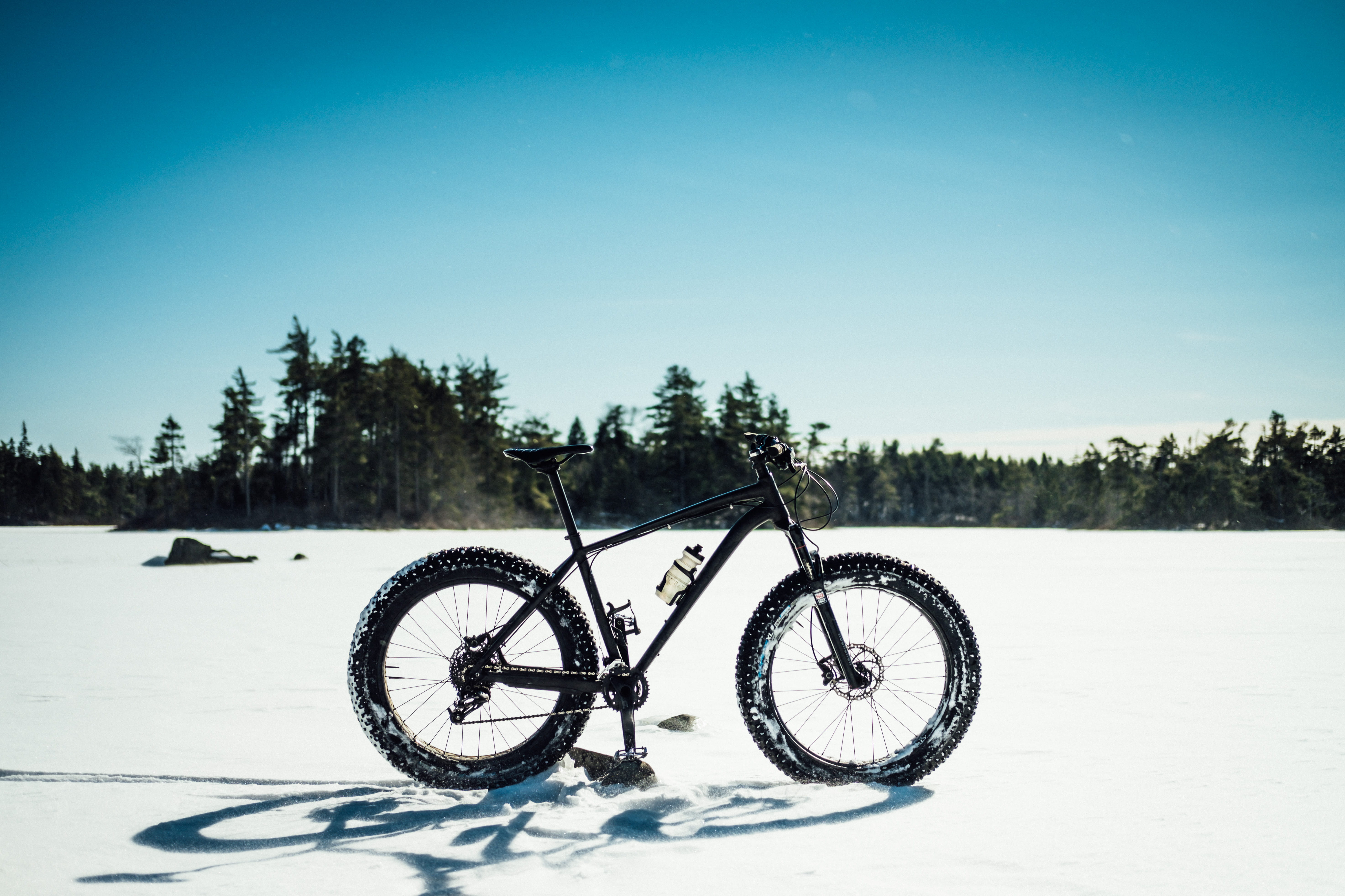 plant, machine, winter, tree, sky, vehicle, no people, land vehicle, fatboy, day, wilderness, snow, bicycle, adventure, bike, beauty in nature, woods, field, HD Wallpaper