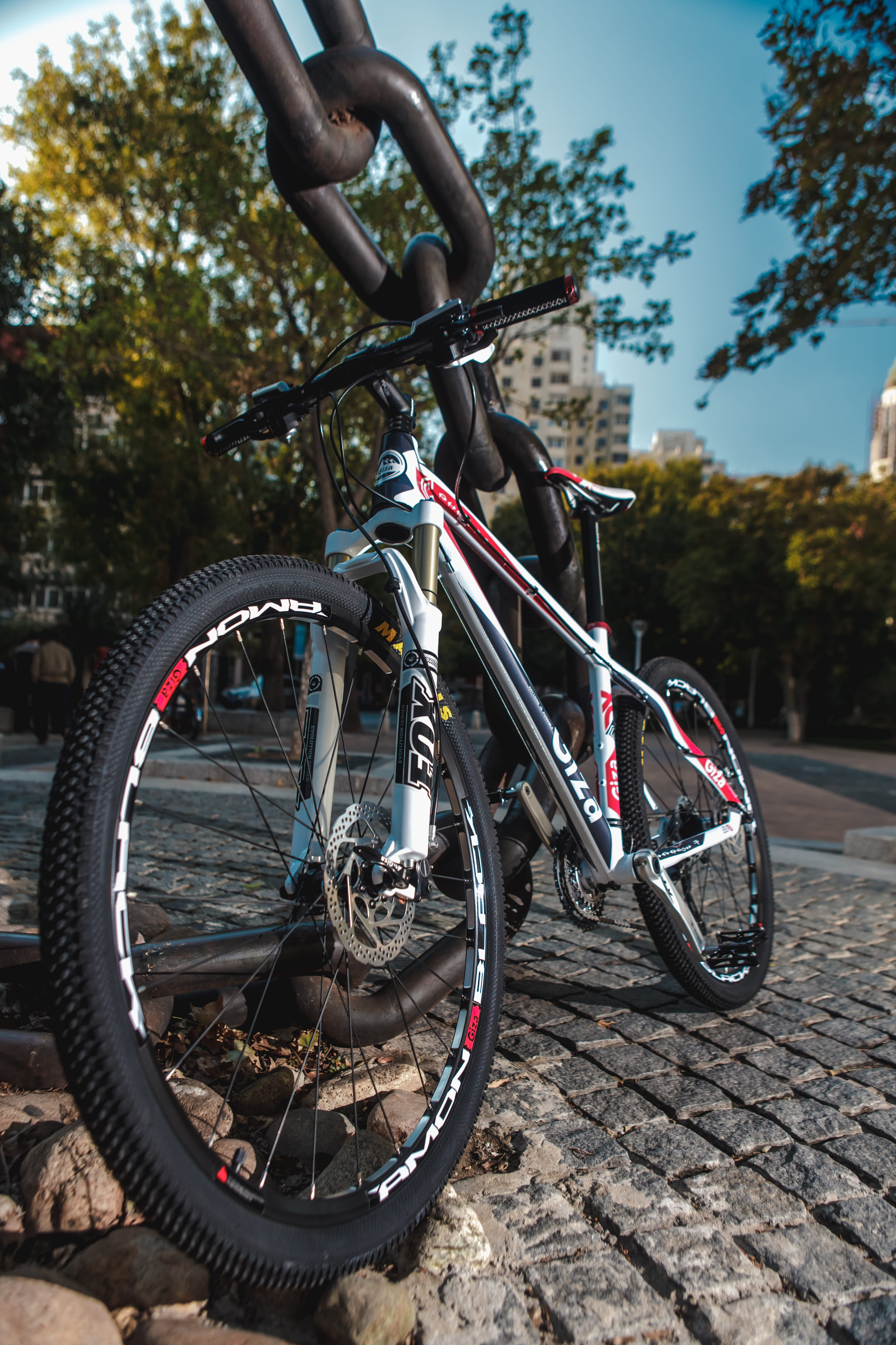 focus on foreground, black, red, parking, sunlight, mtb, street, plant, tires, no people, bike, tree, white, day, pavement, paving stone, angled, vehicle, Phone HD Wallpaper