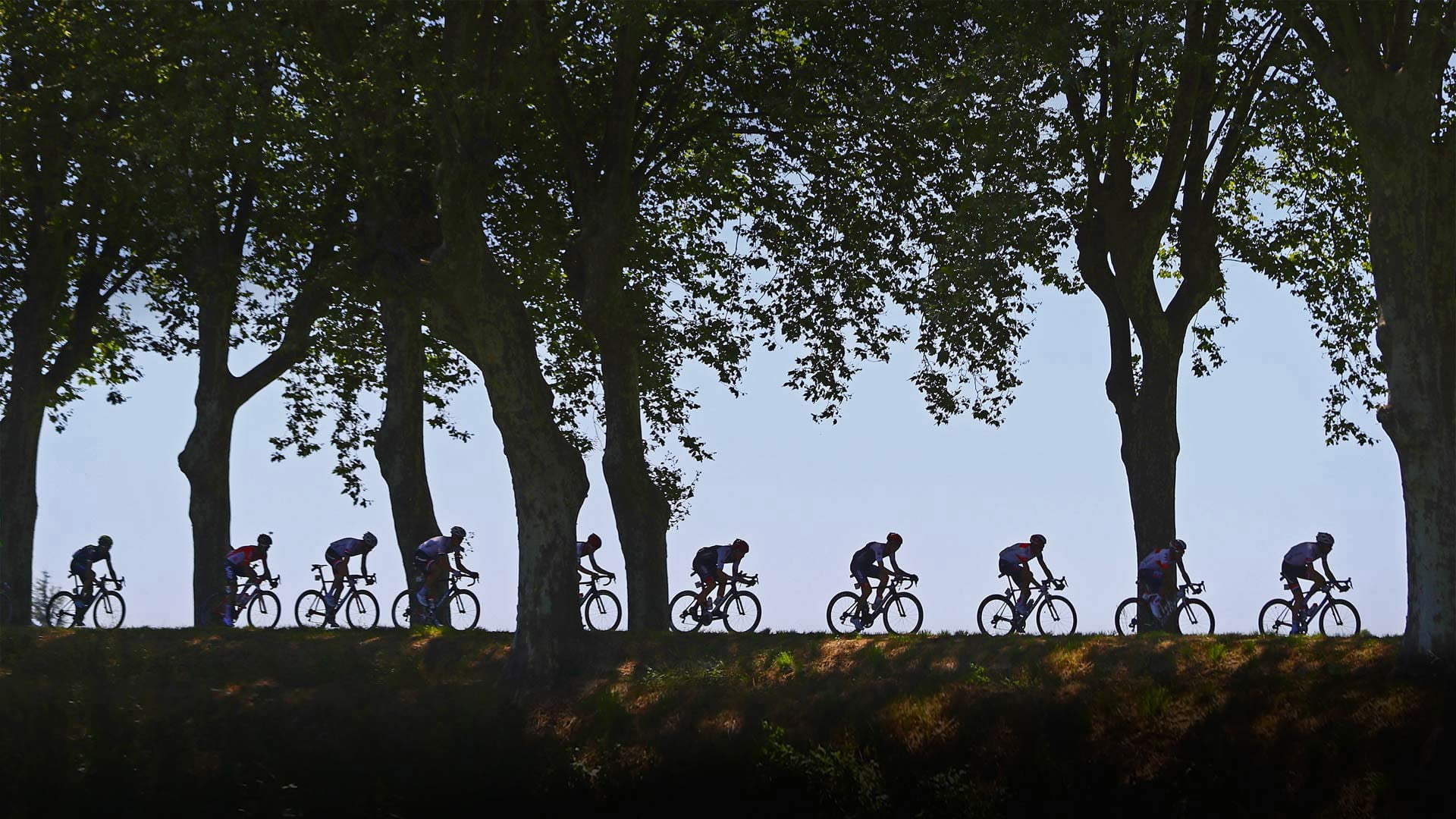 2016, trees, The tour de France, Cycling, silhouette, 1080P, race, HD Wallpaper