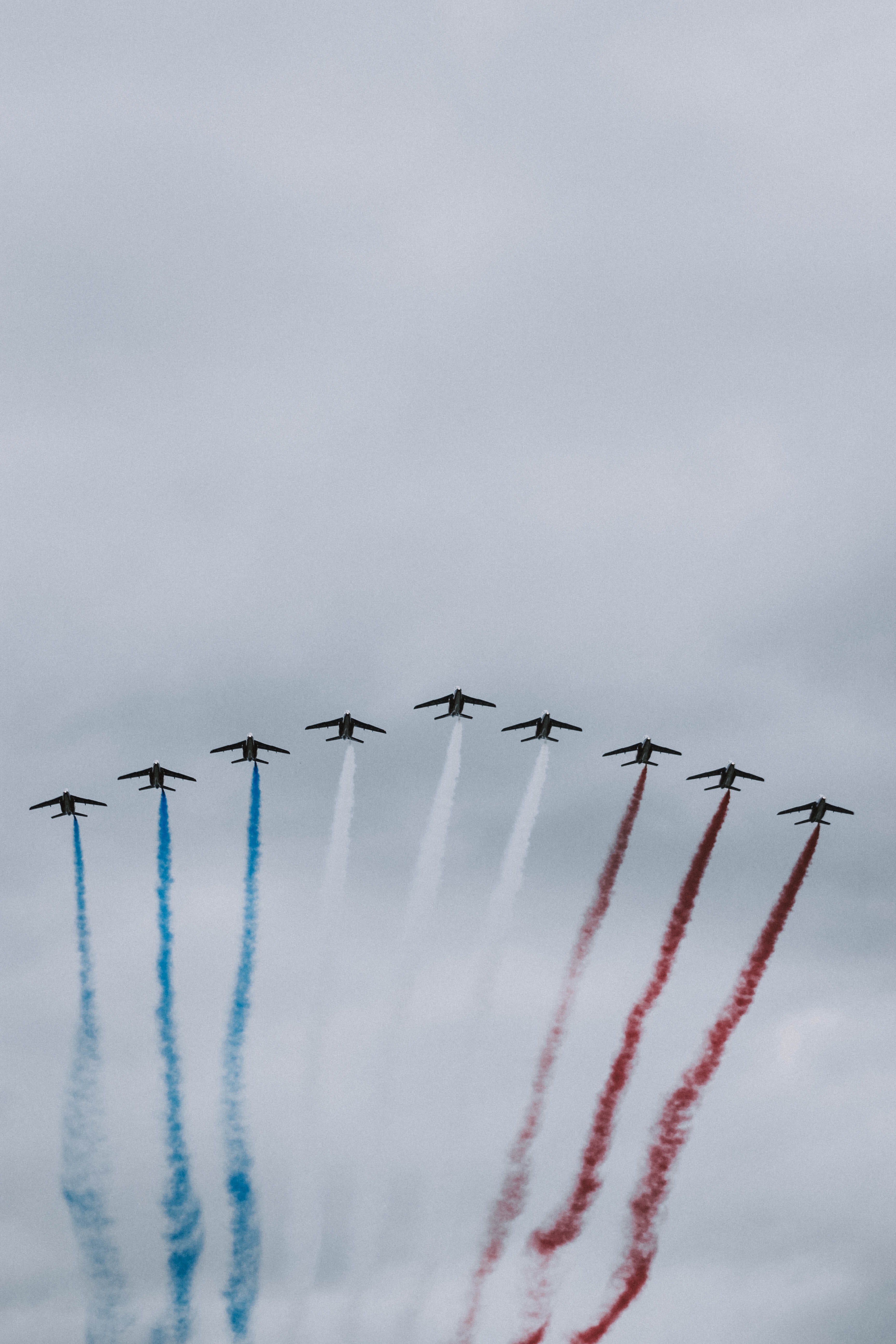 fly, air, bird, outdoors, red, day, cloudy, flag, patrouille de france, tour de france, arrange, france, plane, animal, blue, white, nature, flying, nine, Phone HD Wallpaper