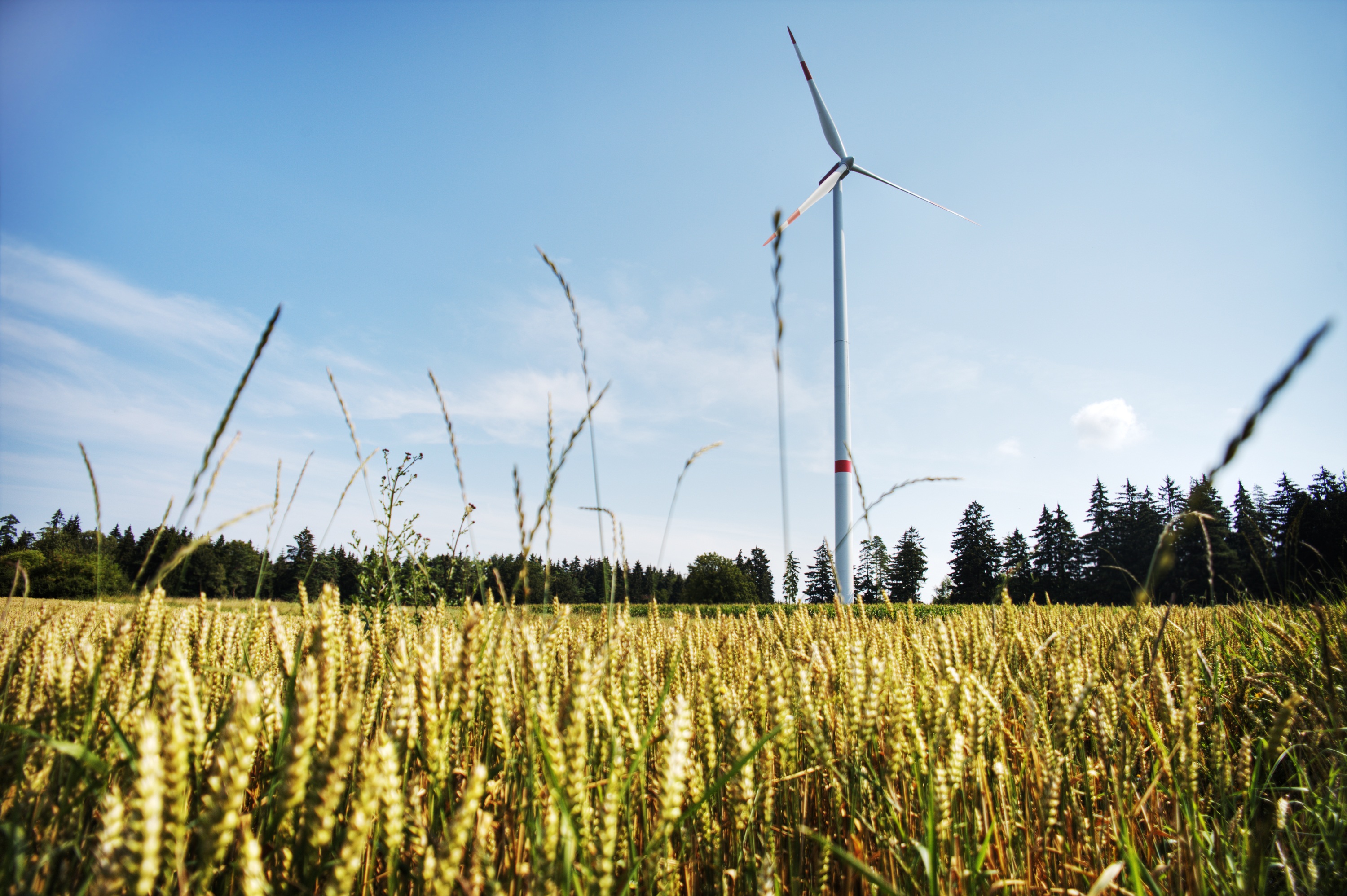 current, environmental technology, cornfield, energy, wind park, sky, rural Scene, outdoors, green energy, fuel and Power Generation, environmental conservation, HD Wallpaper