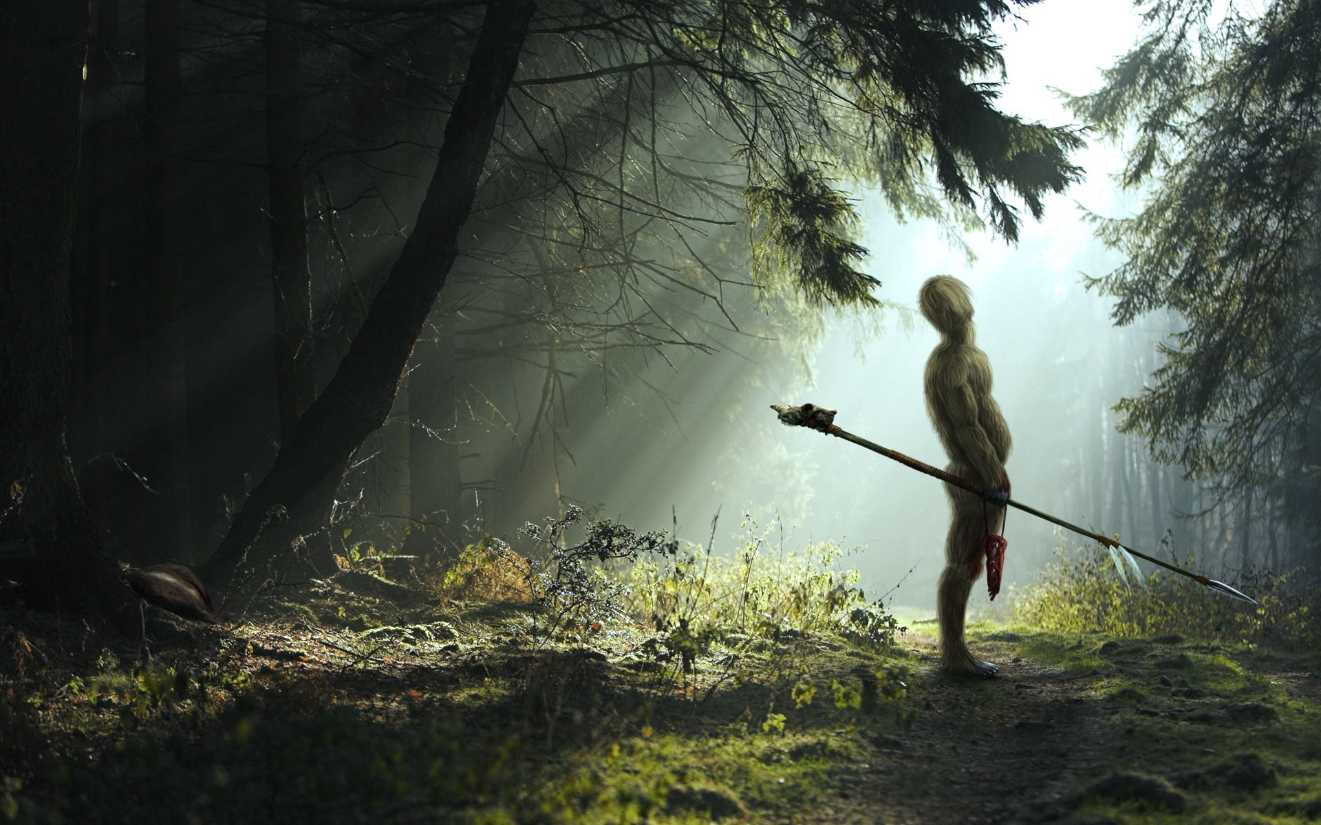 day, lifestyles, standing, trunk, outdoors, stick - plant part, growth, movie, footpath, fog, adult, rural Scene, tranquility, adventure, men, back Lit, HD Wallpaper