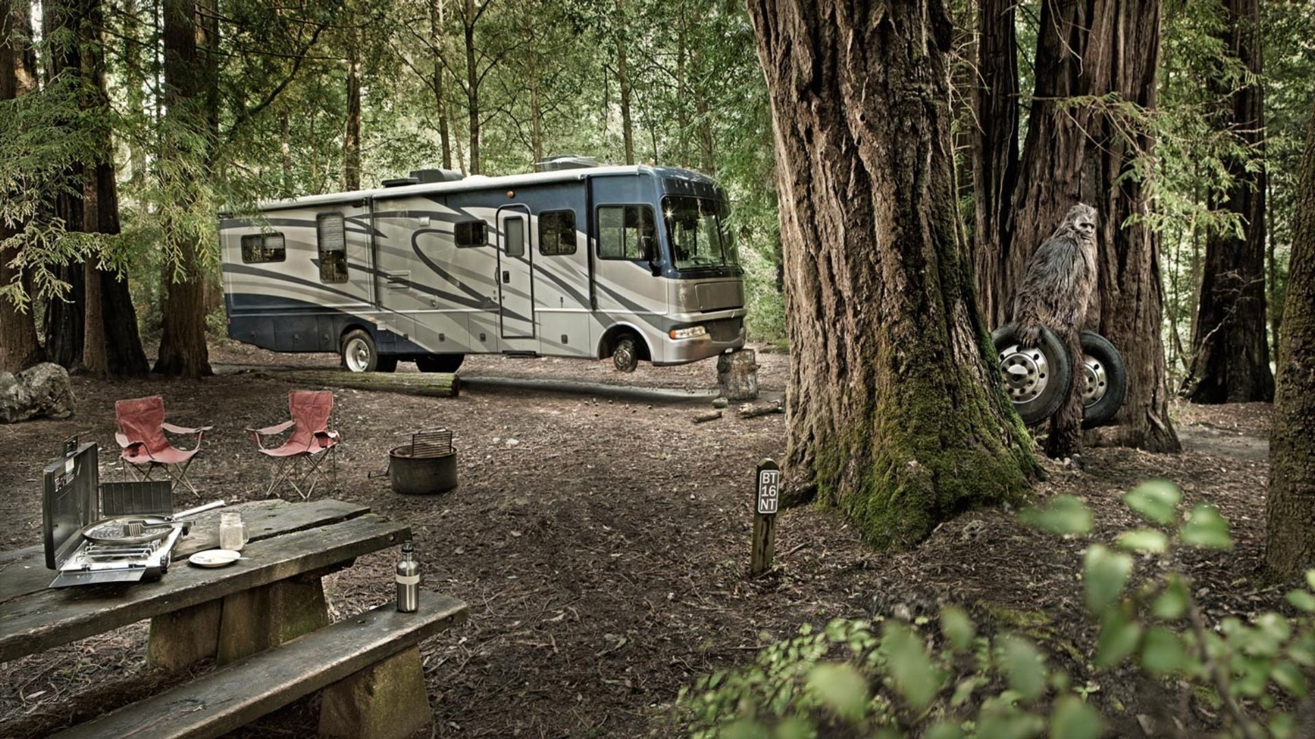 transportation, white, wheel, day, tree trunk, 1080P, forest, rv, no people, animal themes, Yeti, bus, gray, animal, nature, car, camping, outdoors, land vehicle, HD Wallpaper