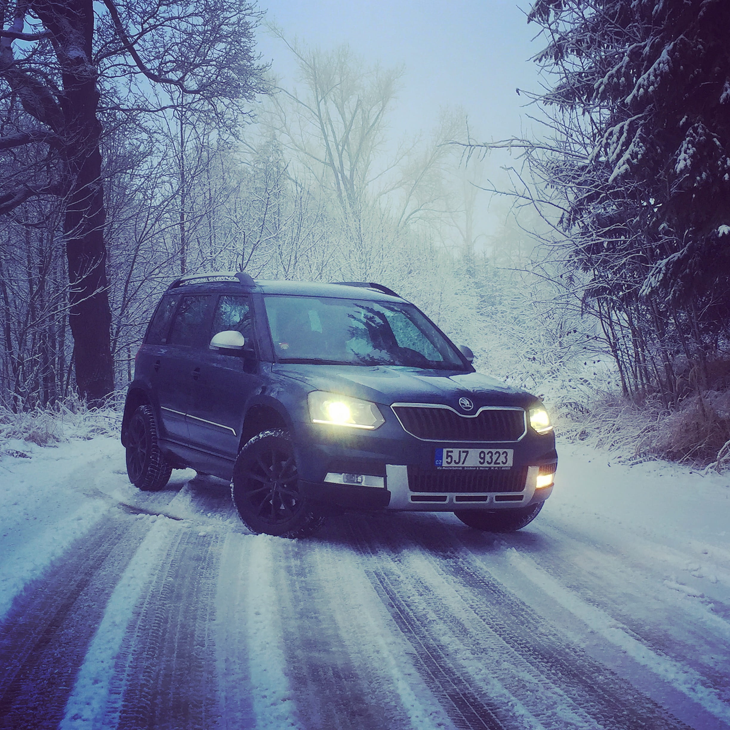 city, motor vehicle, white, bare tree, blizzard, fun, cold temperature, outdoors, snowing, oslavička, winter, česko, tree, 1080P, yeti, land vehicle, blue, Phone HD Wallpaper