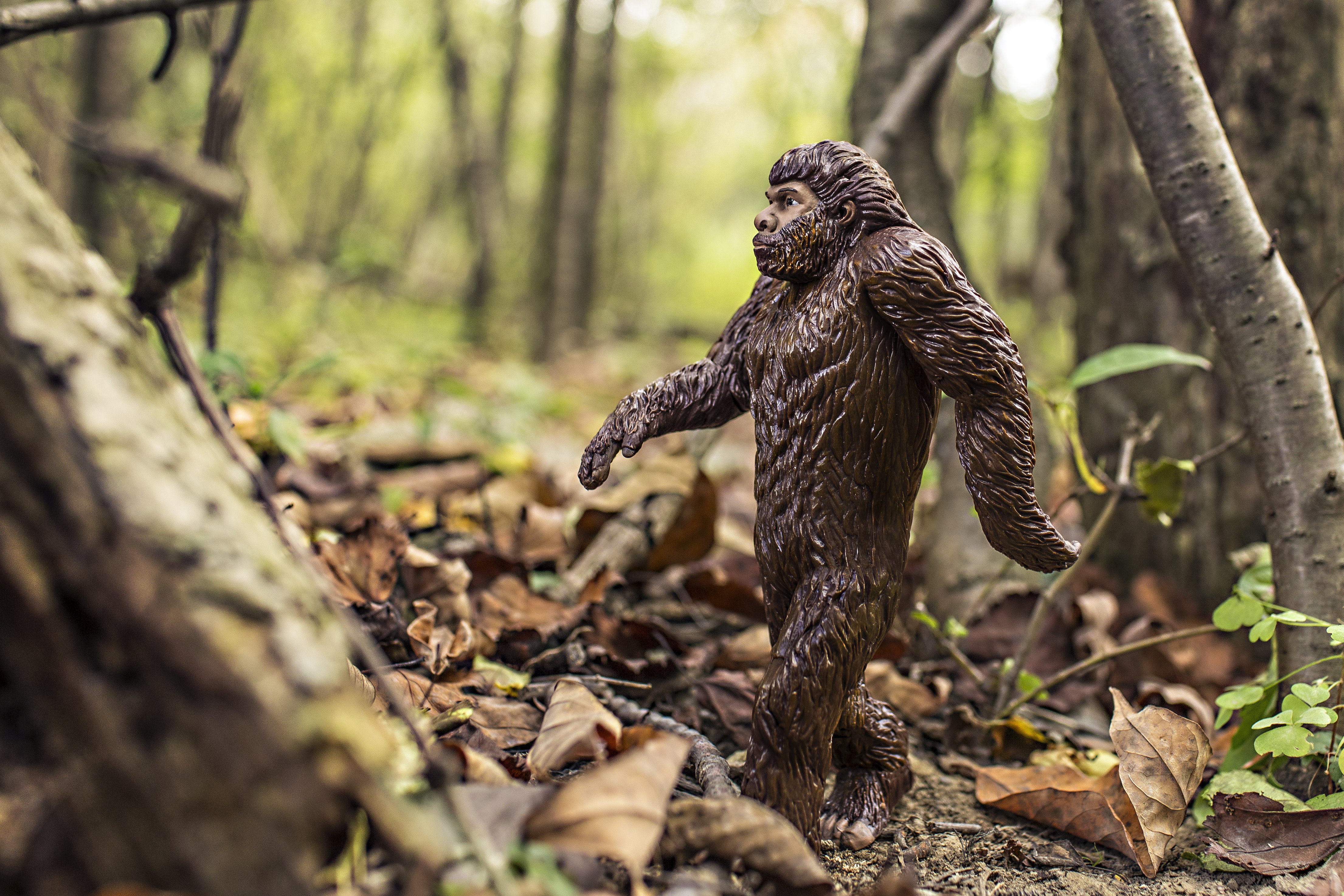 forest, toy, foliage, Yeti, Bigfoot, figure, 4K, HD Wallpaper