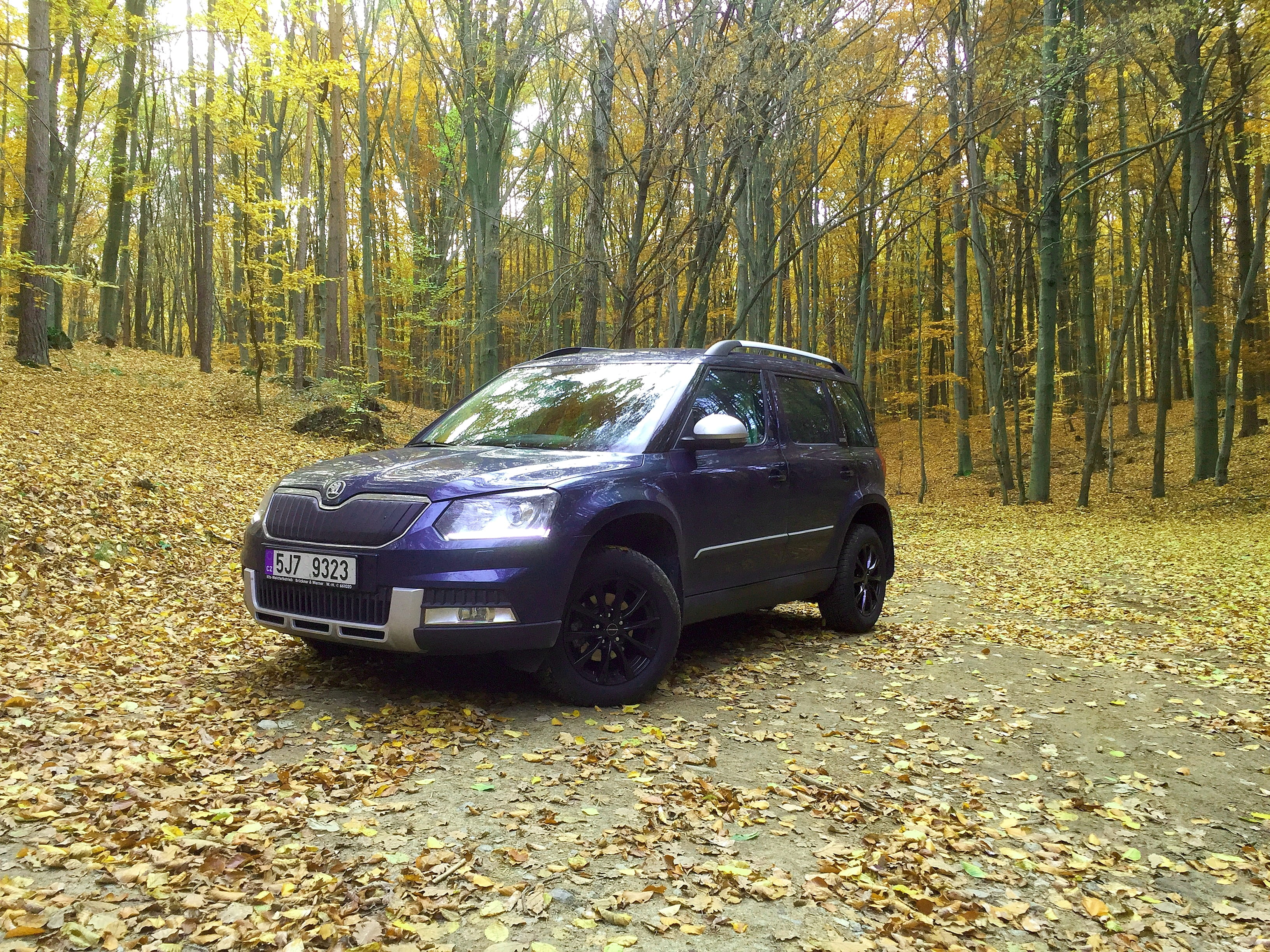 land, leaves, nature, outdoors, car, plant part, škoda yeti, leaf, blue, land vehicle, autumn, tree, suv, 4x4, change, transportation, no people, growth, HD Wallpaper