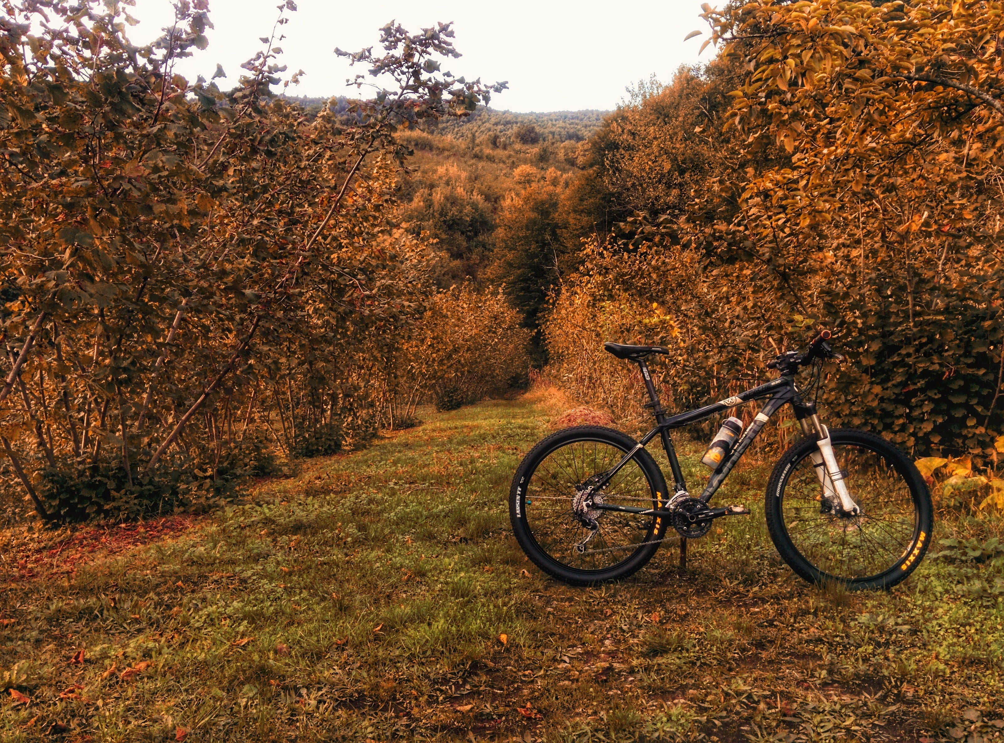 daytime, exercise, fall landscape, hardtail, bike, tranquility, beauty in nature, bicycle, tree, day, trees, trail, near, field, black, autumn, fall, brown, HD Wallpaper